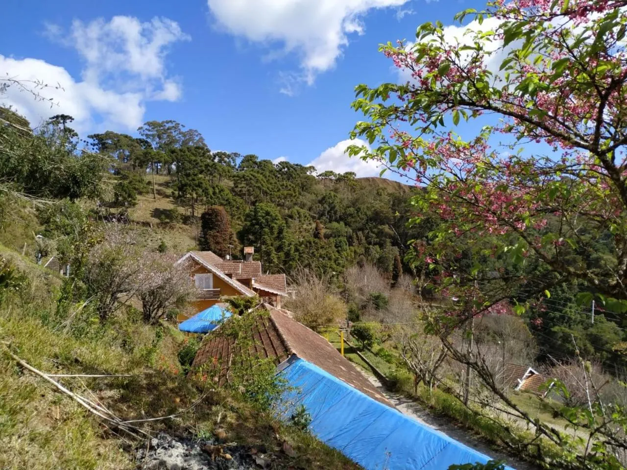 View (from property/room) in Colônia SAA