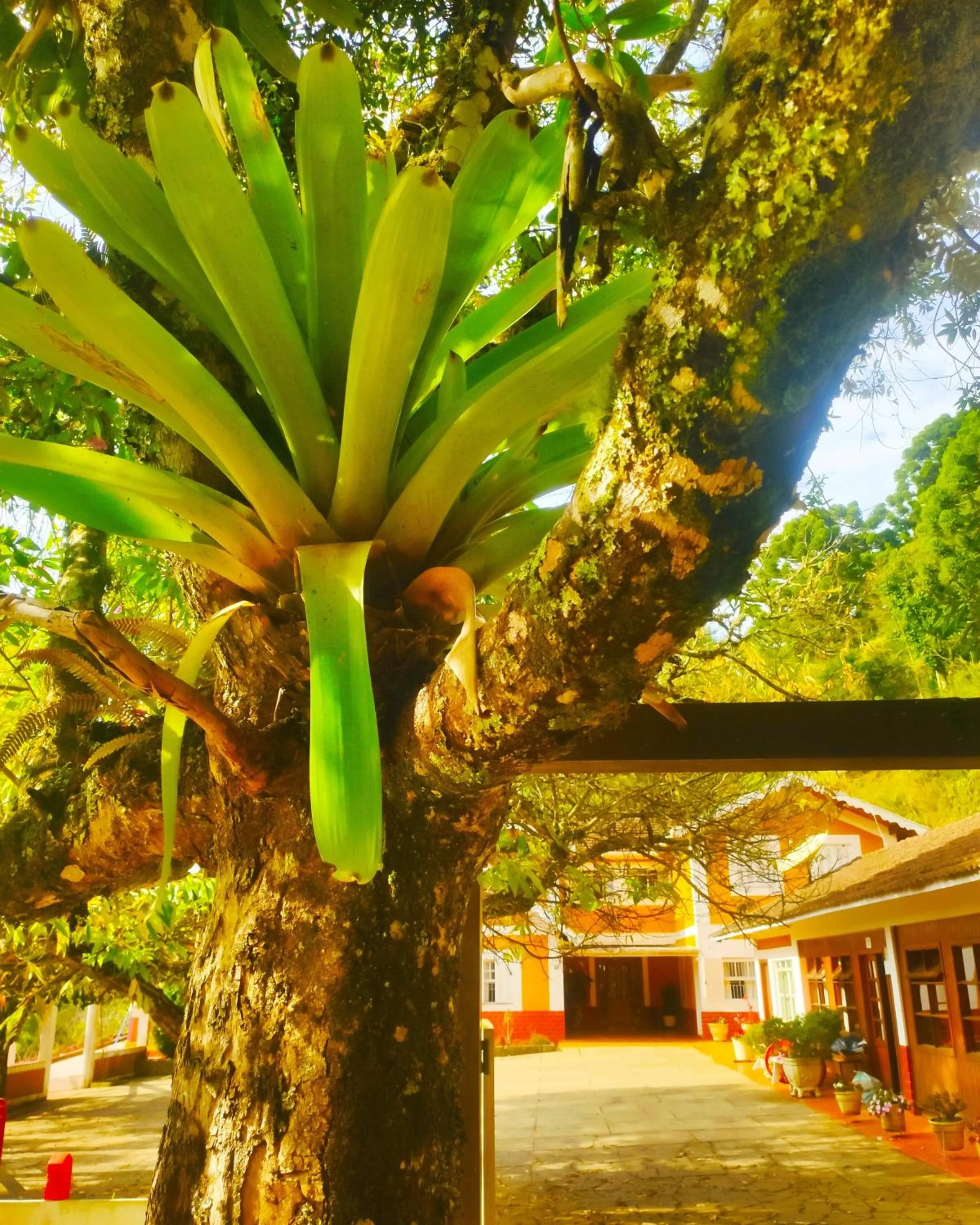 Property building in Colônia SAA