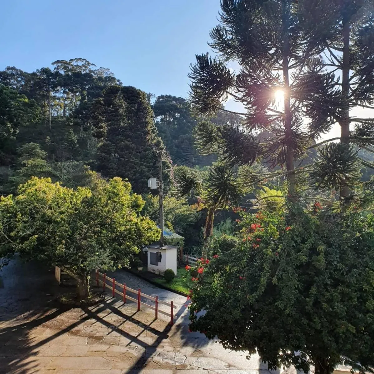 View (from property/room) in Colônia SAA