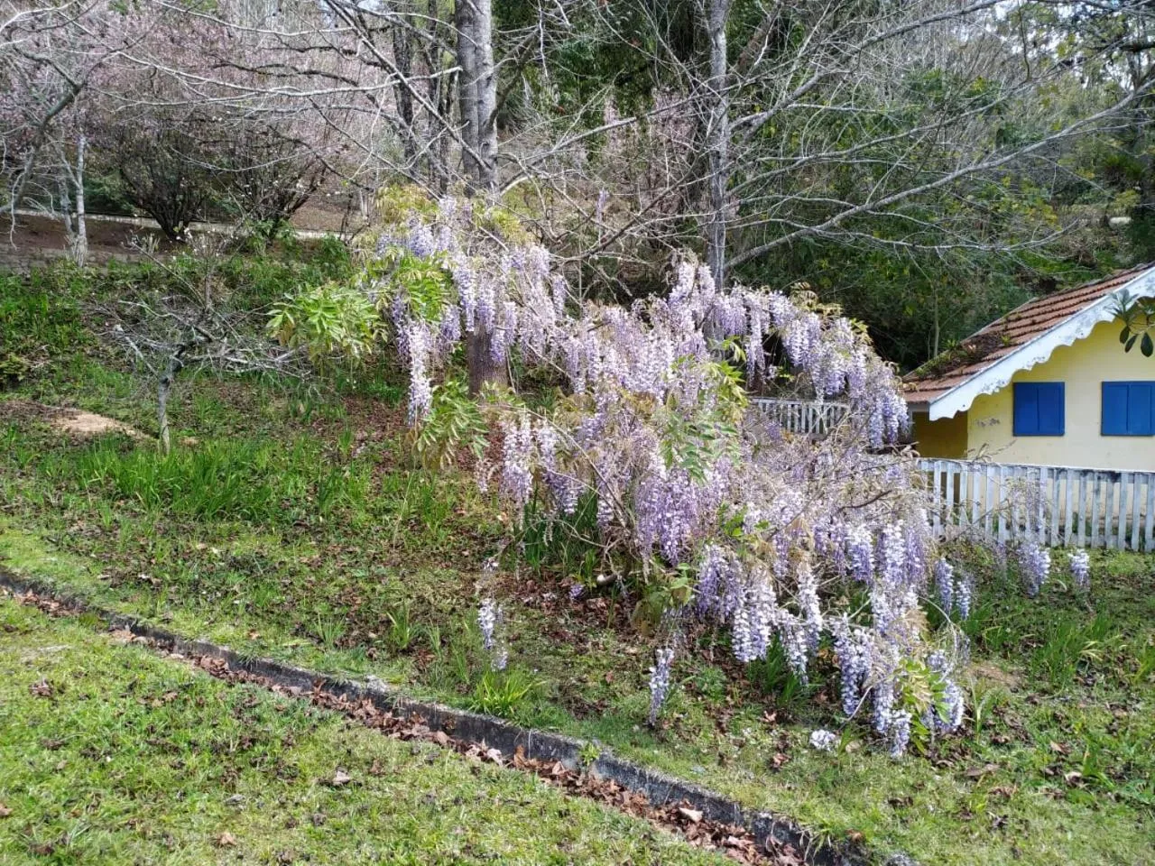 Natural landscape in Colônia SAA