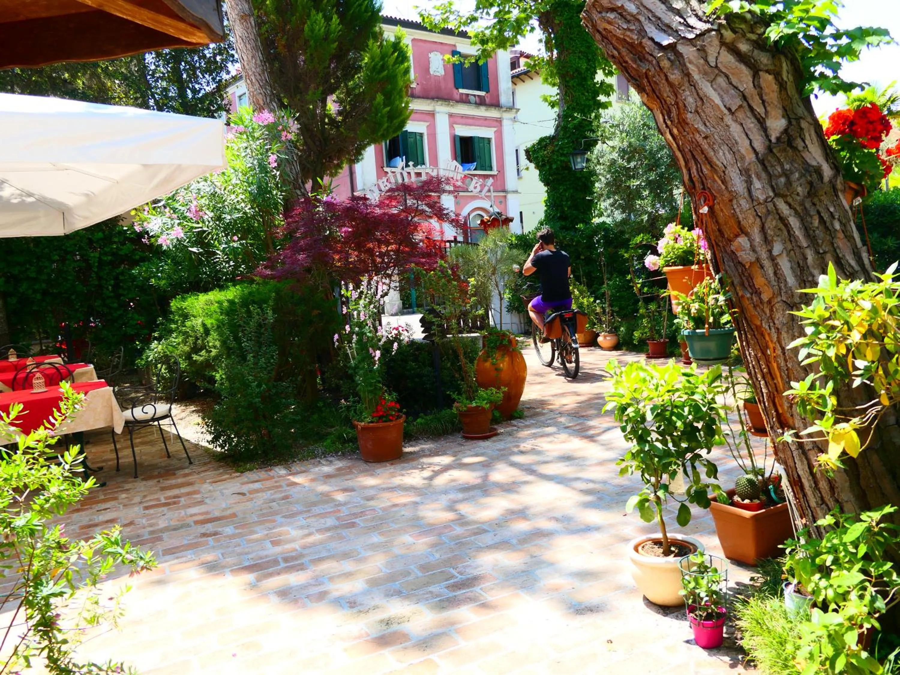 Garden in Hotel La Meridiana