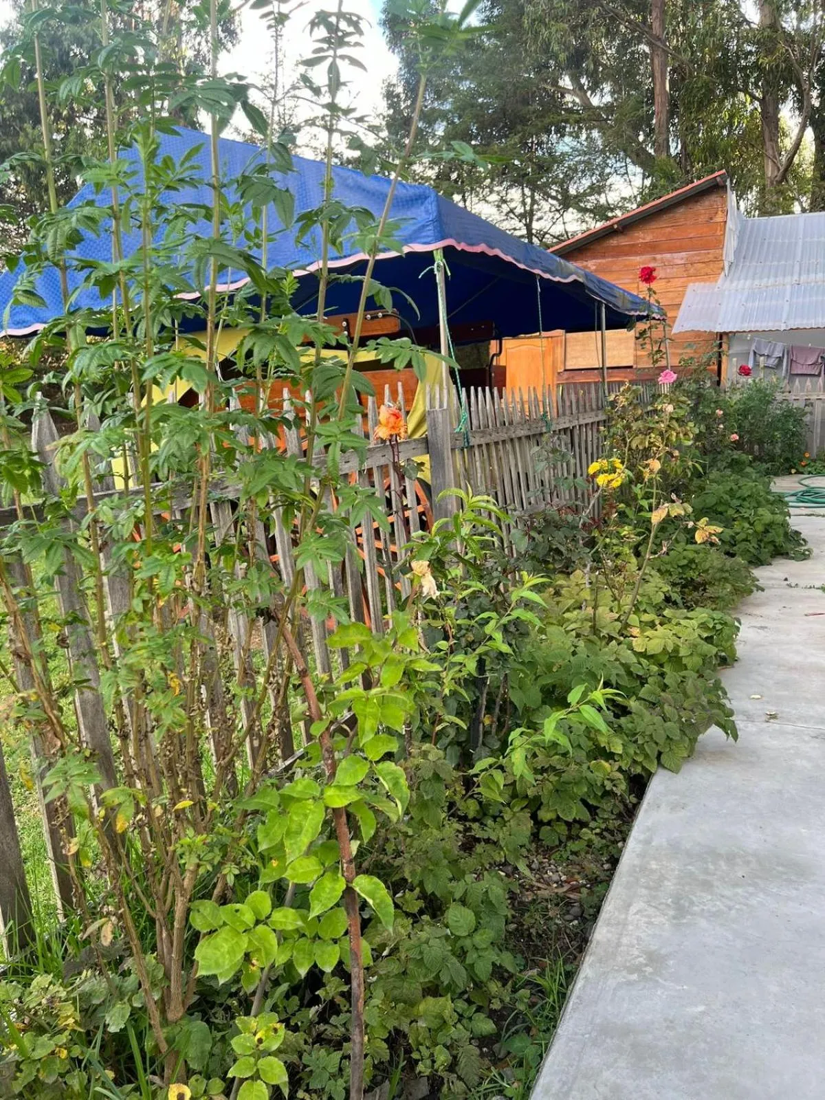 Property building in RESORT ALAPA