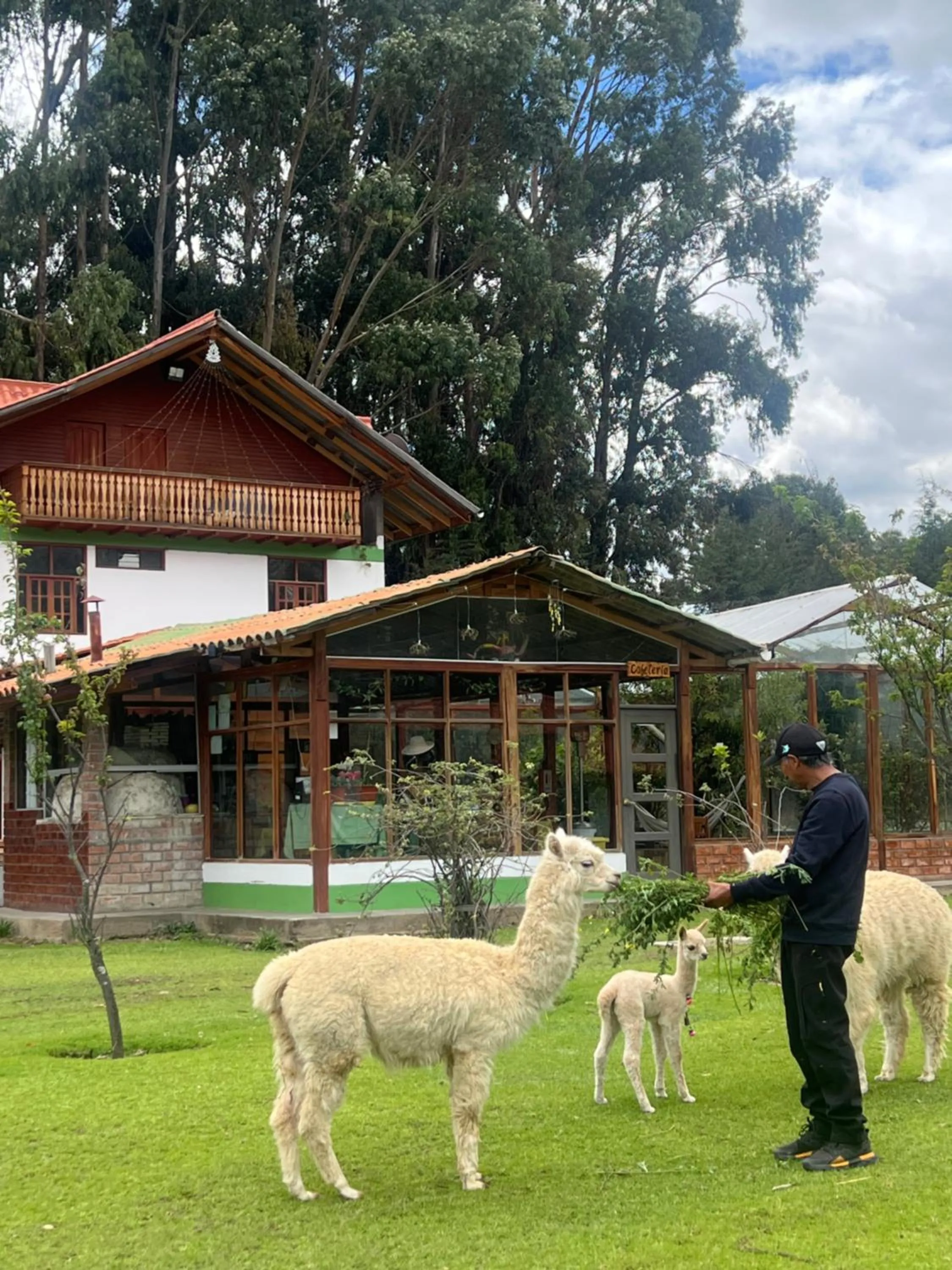 Animals in RESORT ALAPA