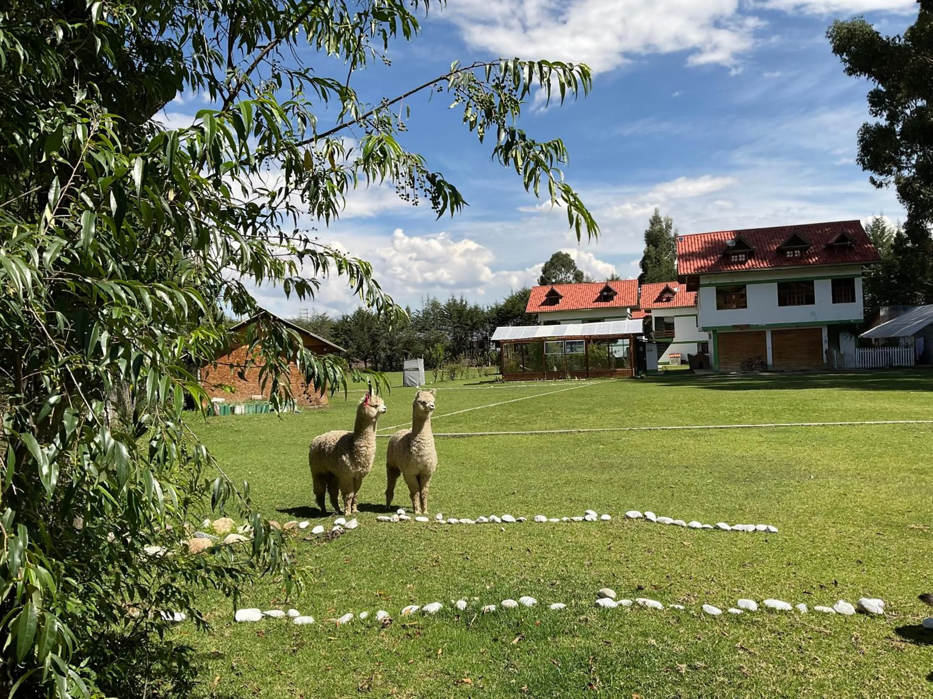Animals in RESORT ALAPA