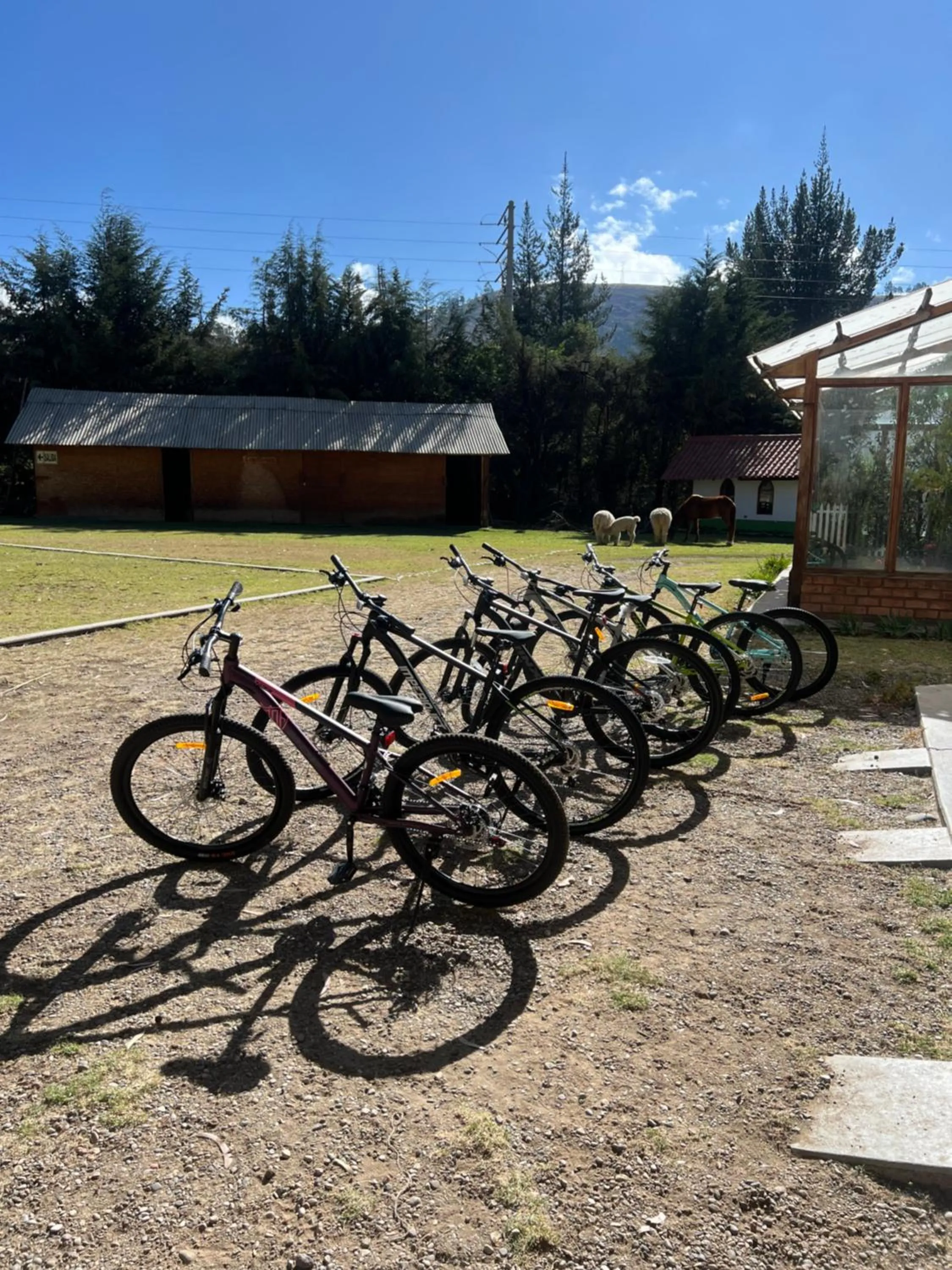 Cycling in RESORT ALAPA
