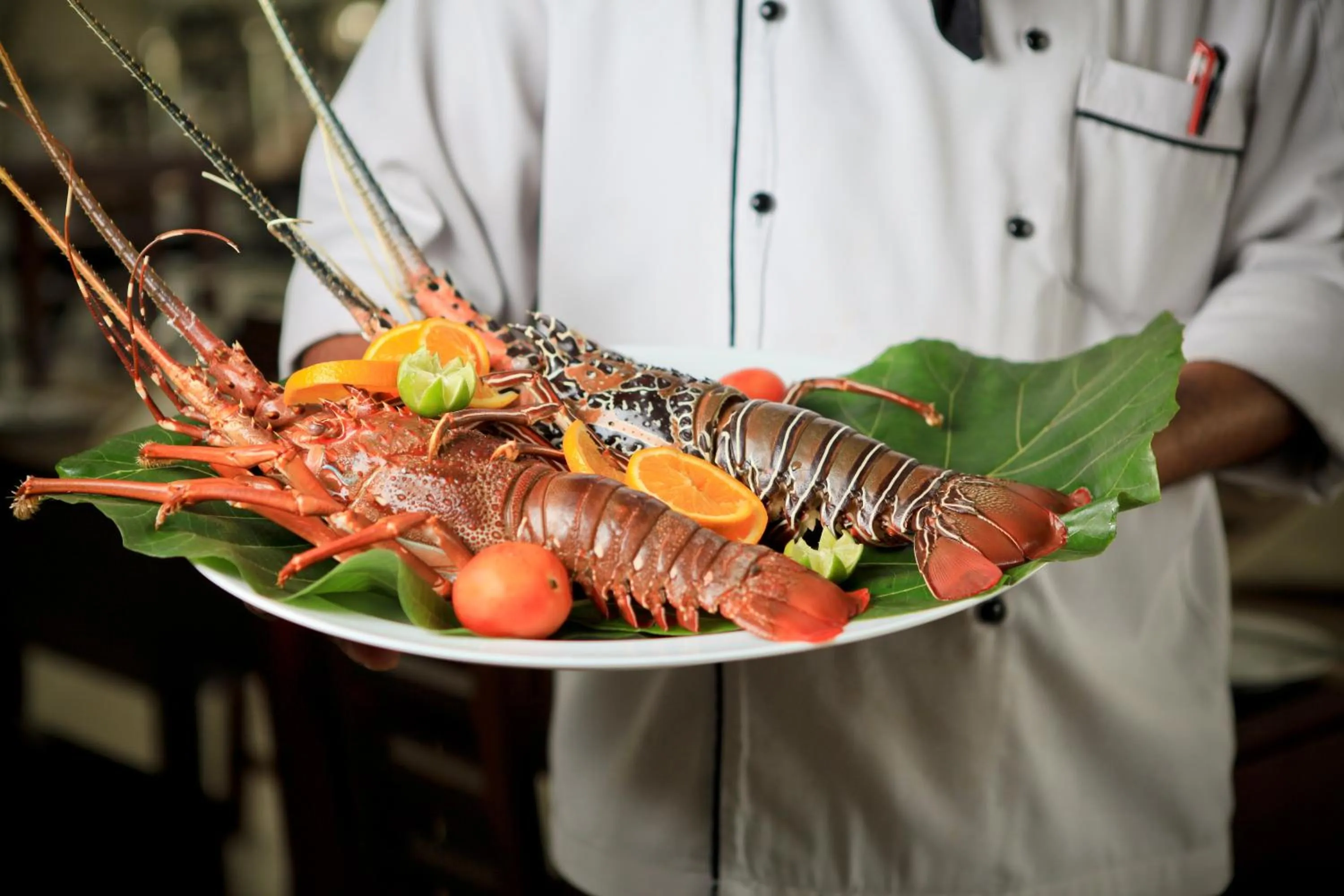 Food in Lavendish Okrin Hotel