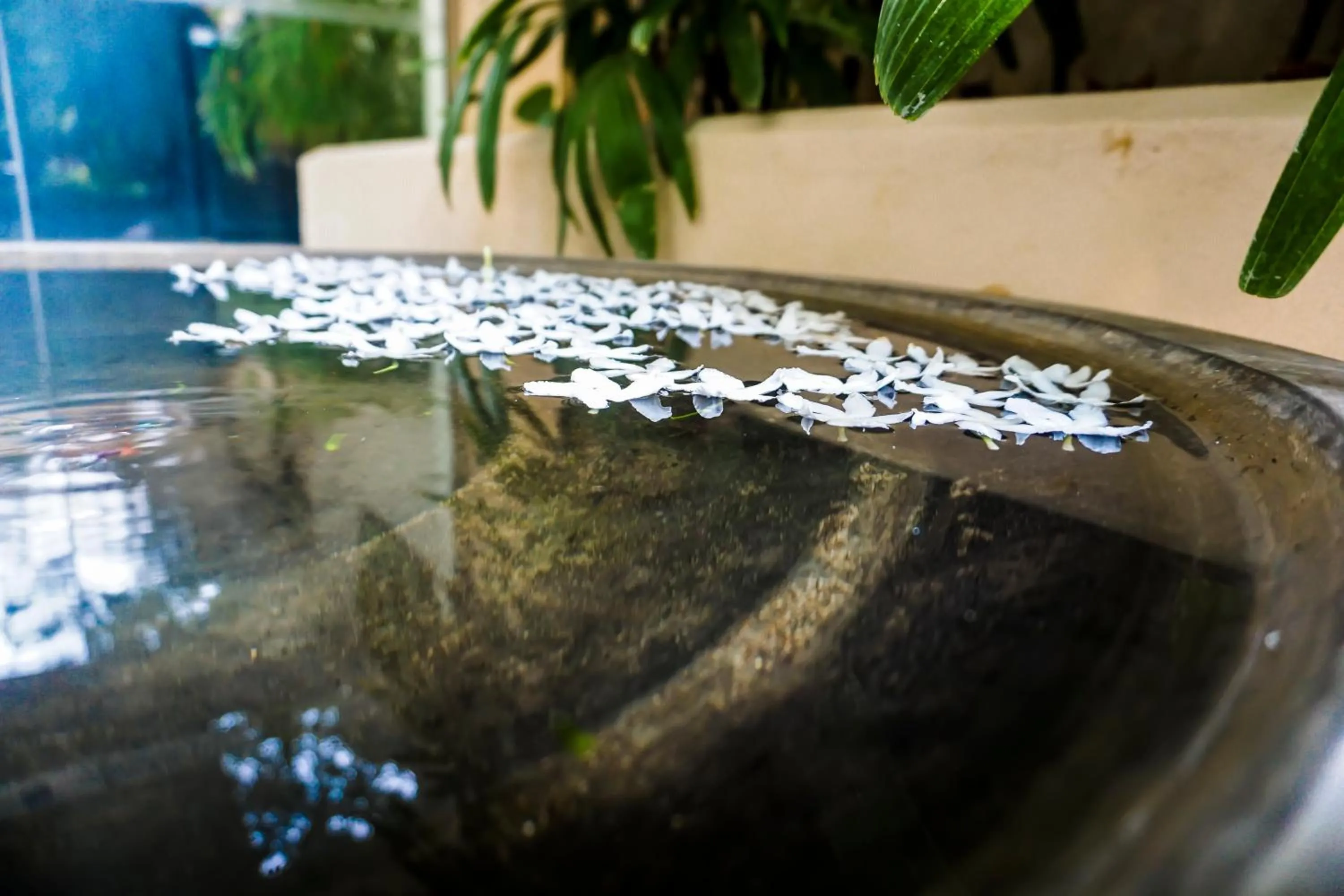 Other in Lavendish Okrin Hotel