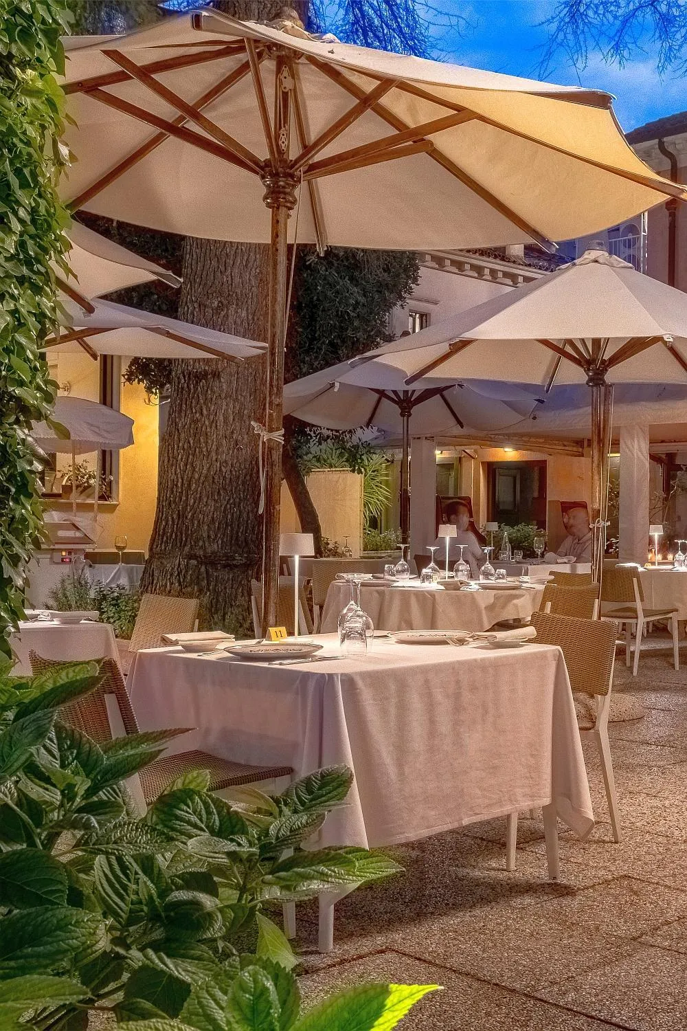 Restaurant/places to eat in Hotel Villa Mabapa