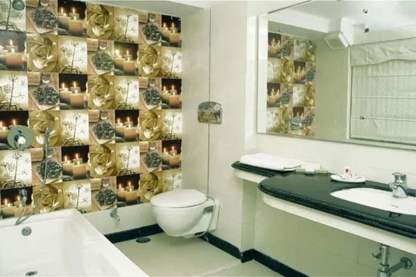 Bathroom in Milestone 251