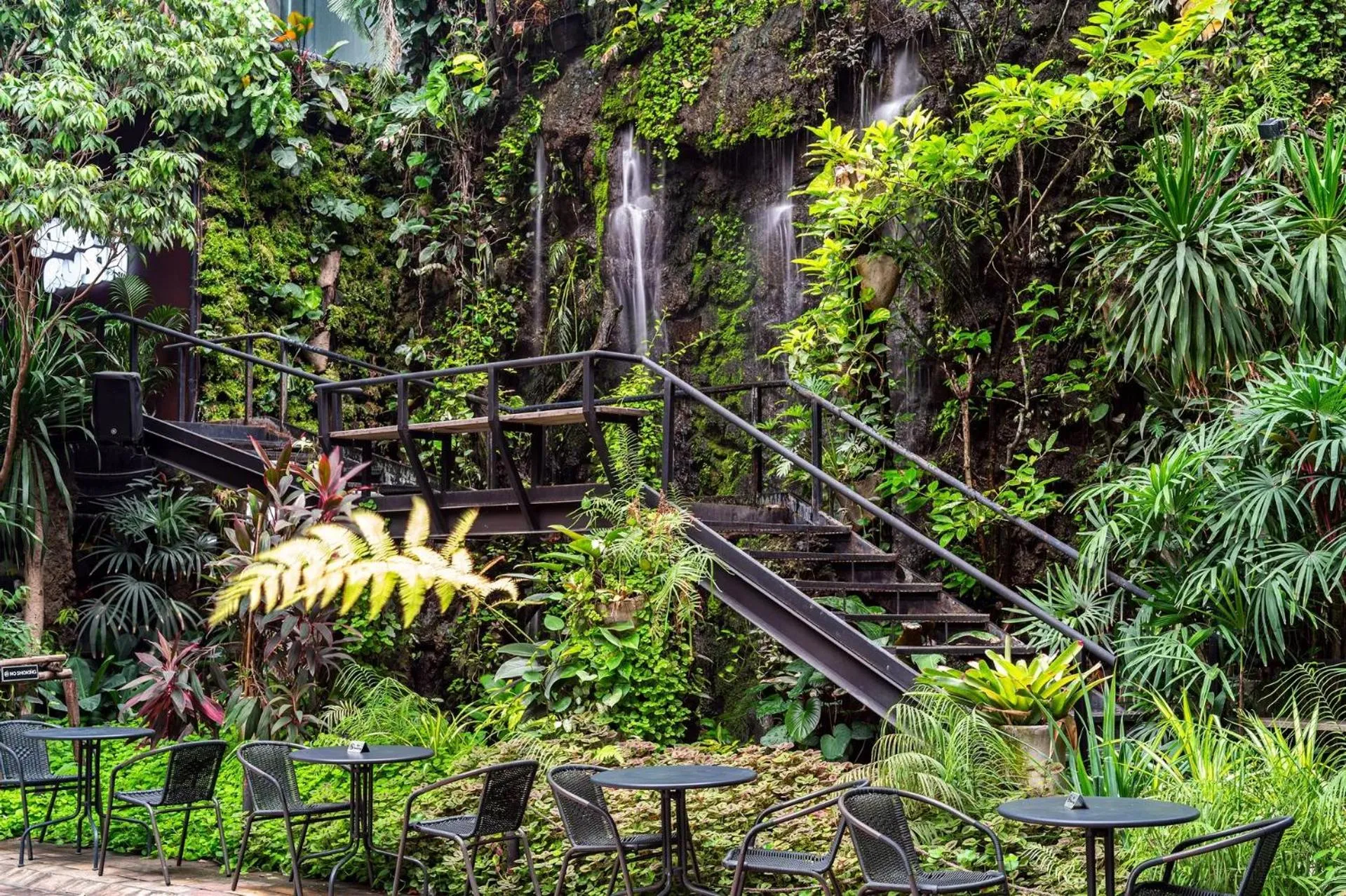 Garden in 515 VICTORY Hotel