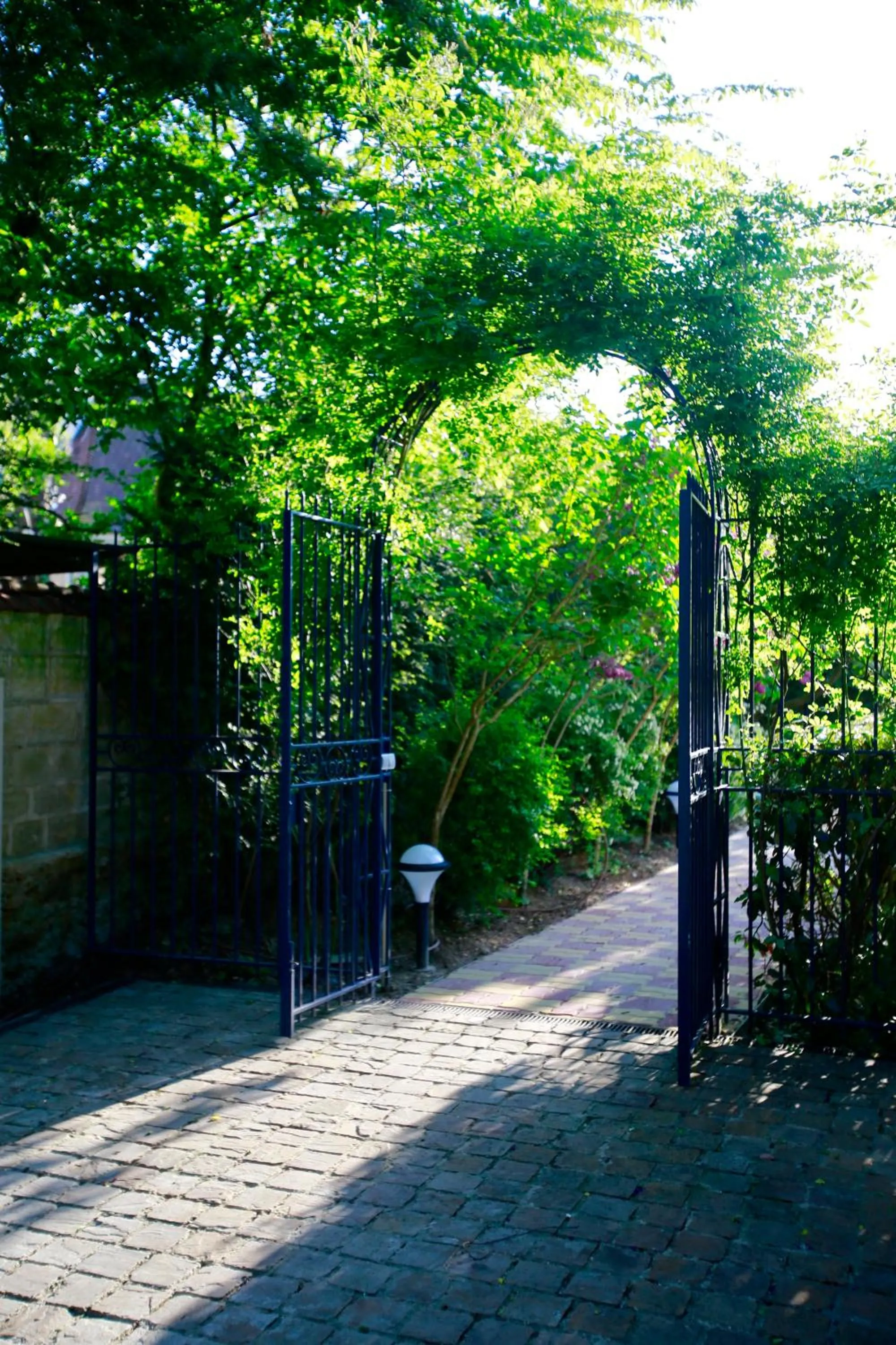 Garden in Villa Talisman