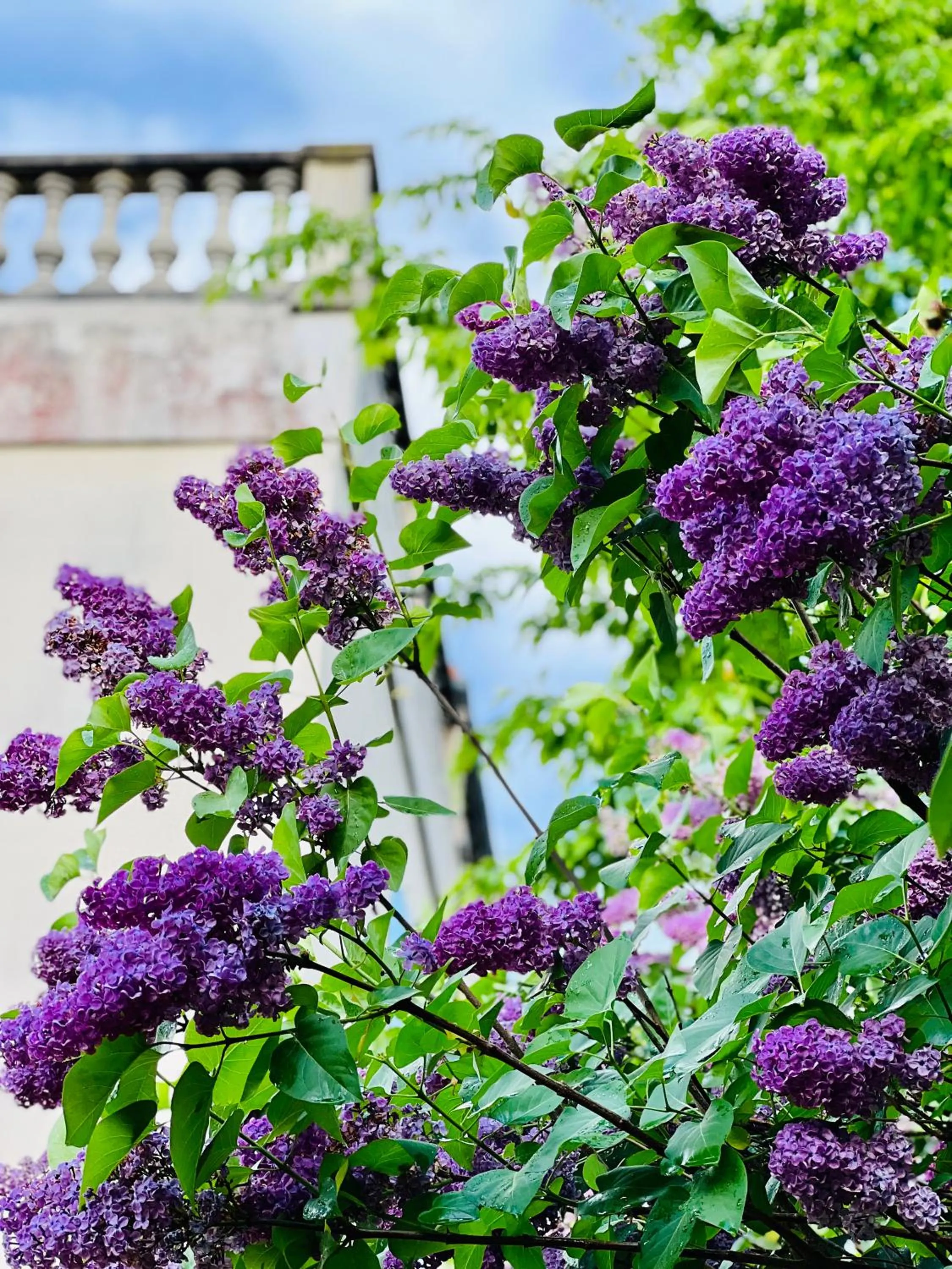 Property building in Villa Talisman