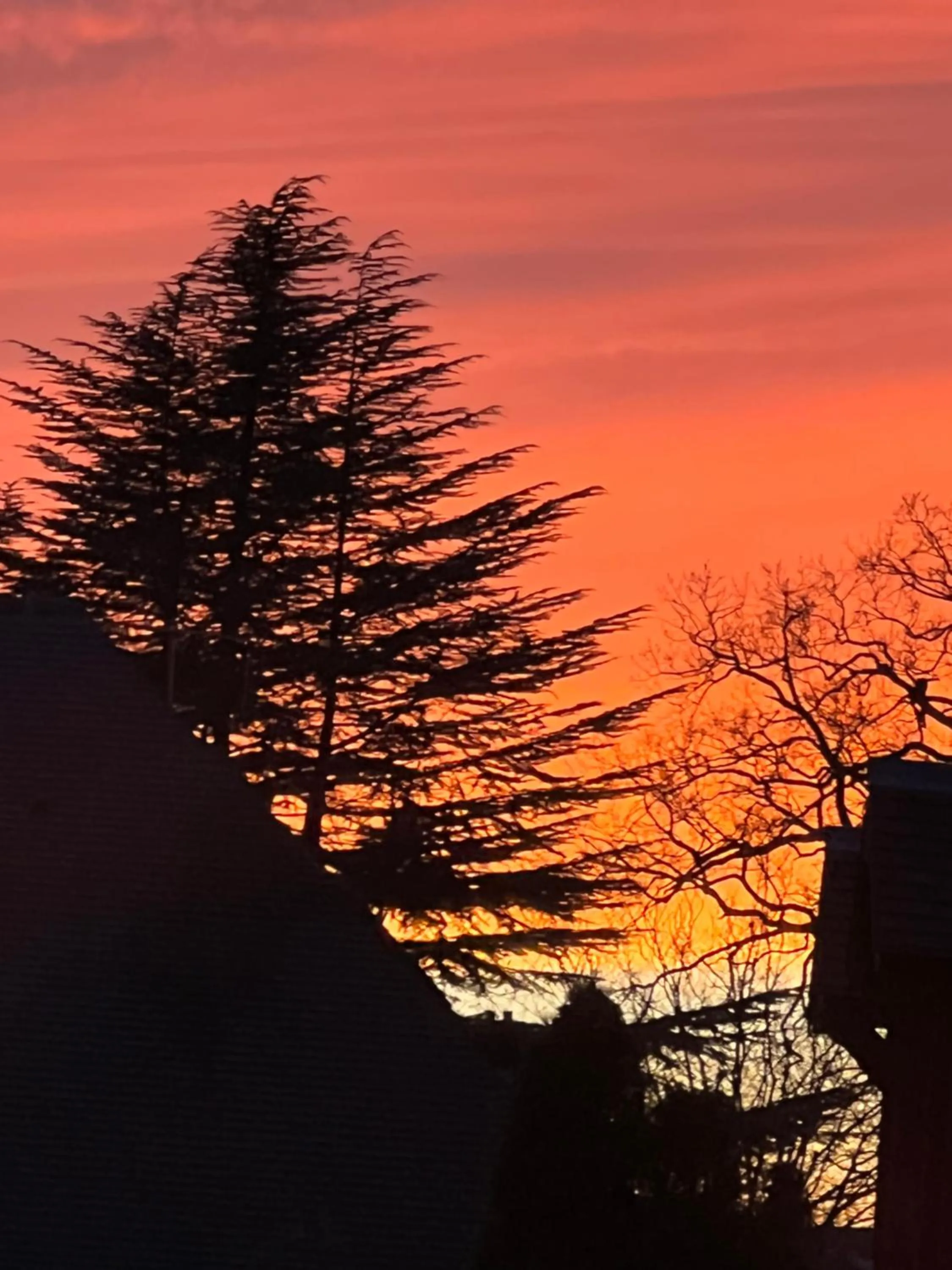 Property building in Villa Talisman