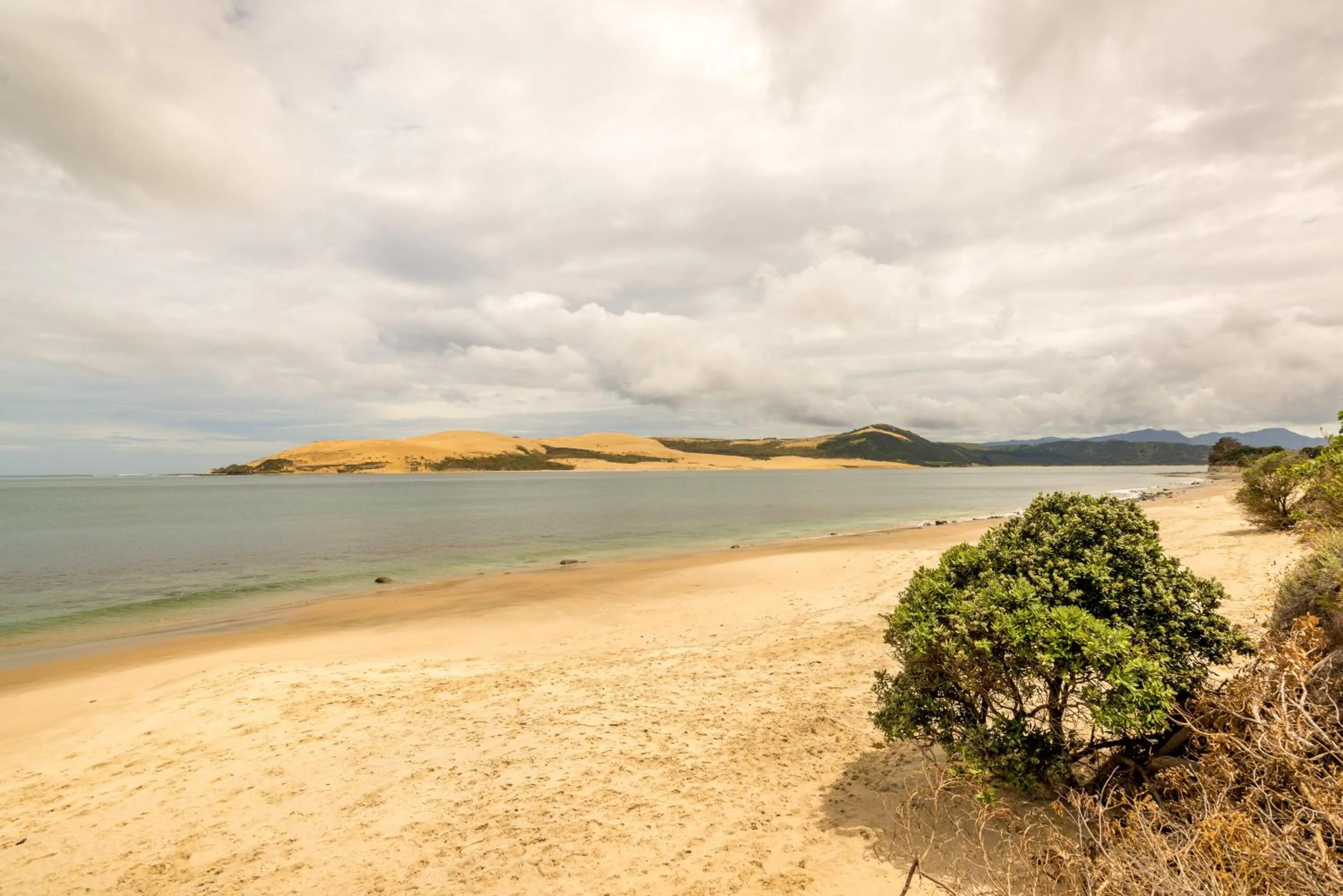 Hokianga Haven