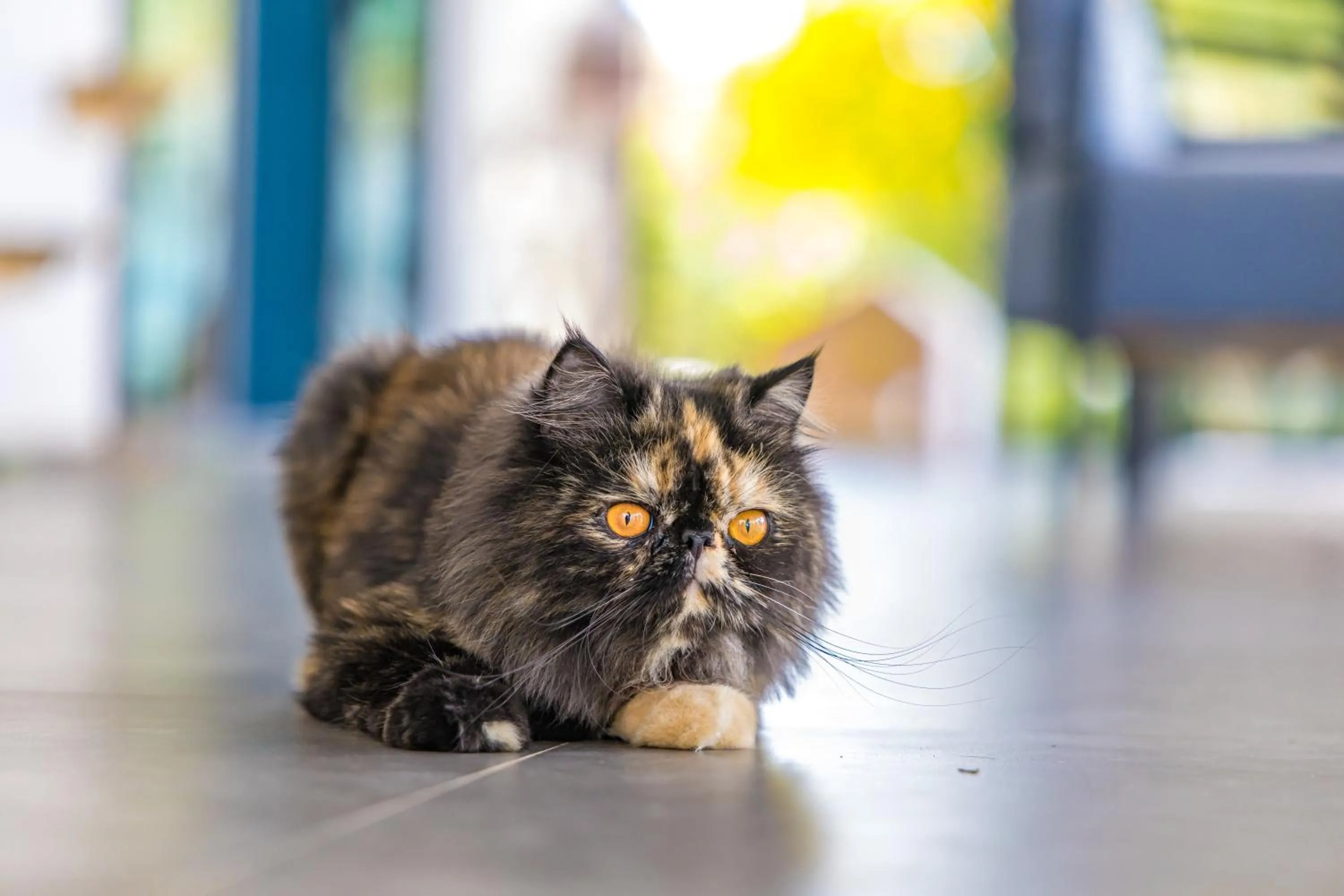 Children play ground in Royal Yao Yai Island Beach Resort