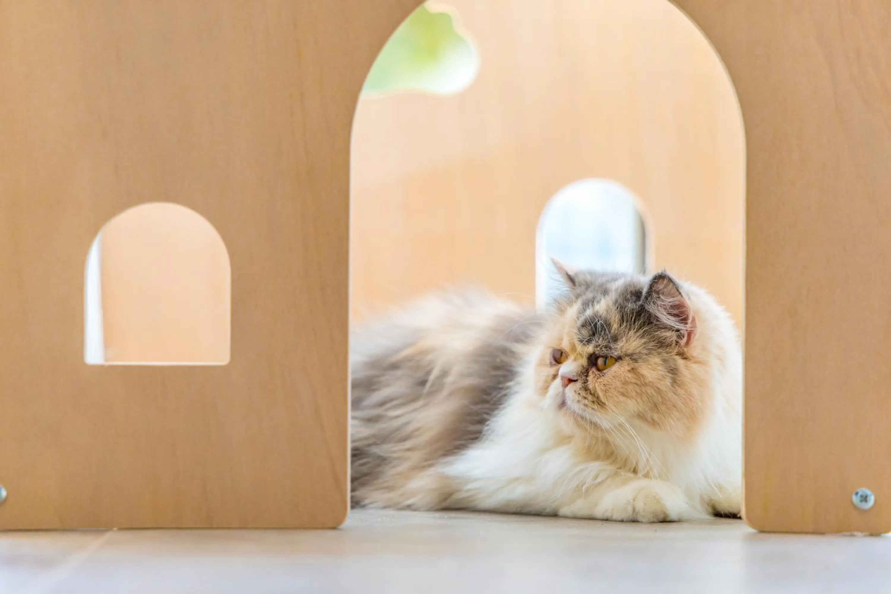 Children play ground in Royal Yao Yai Island Beach Resort