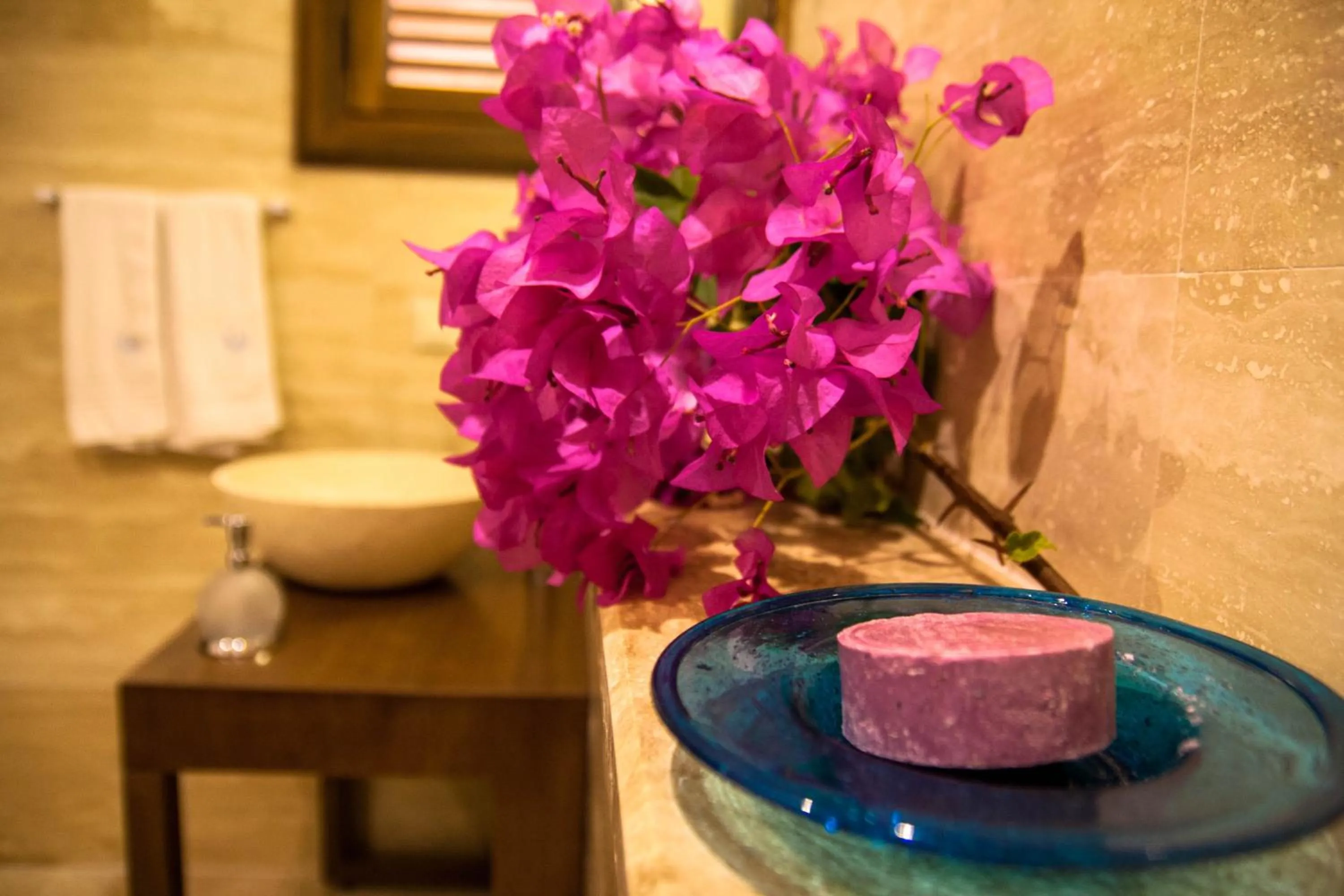 Bathroom in Courtyard
