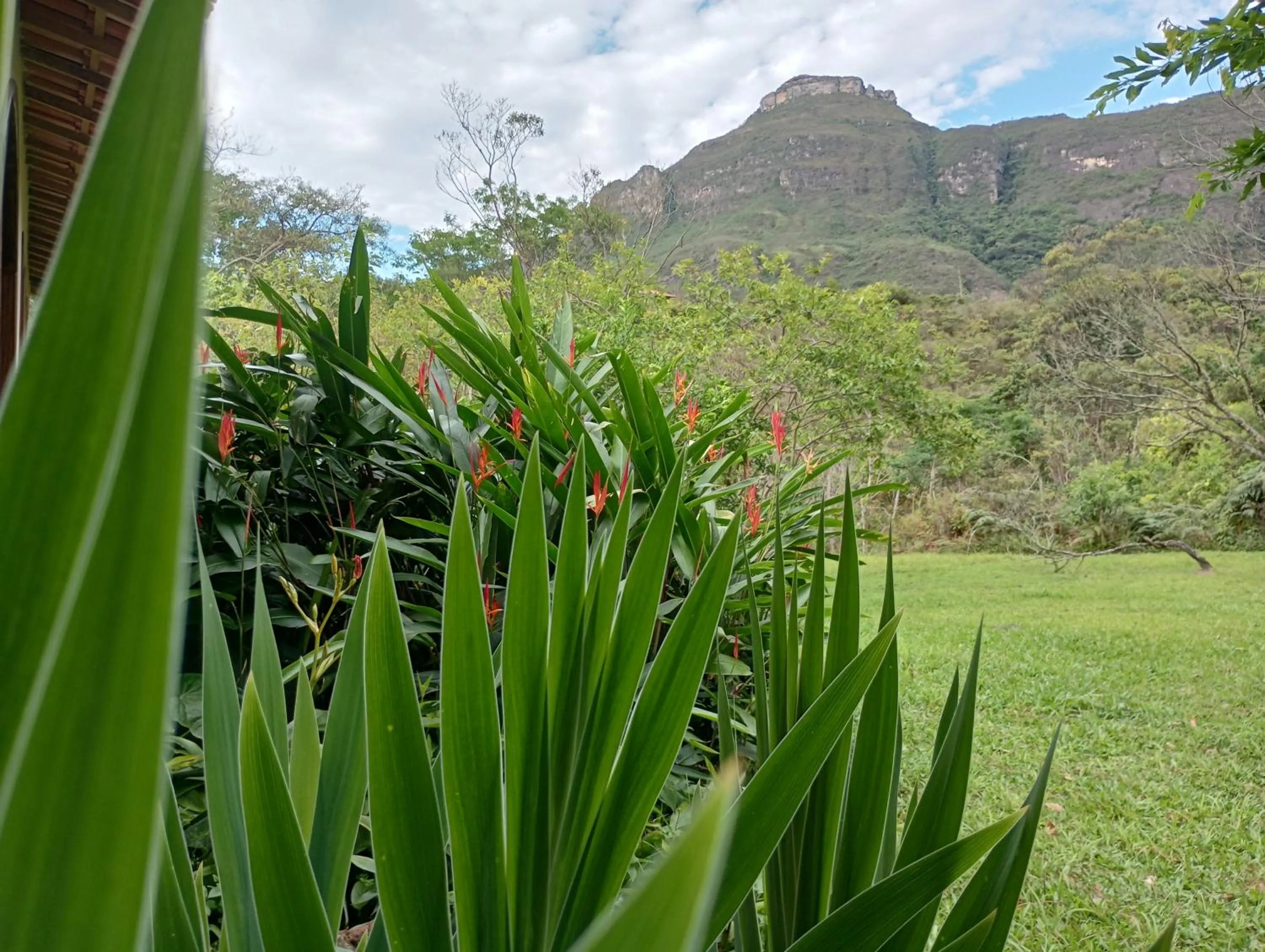 Garden in Pousada Canto das Cachoeiras