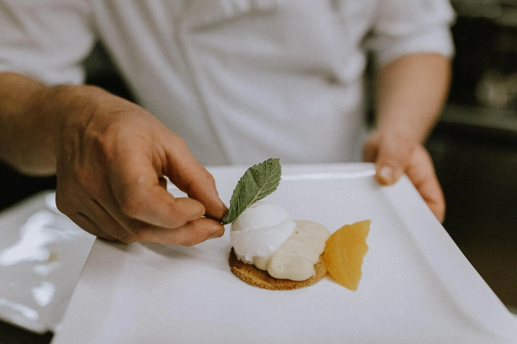 Restaurant/places to eat in Hotel Aurora