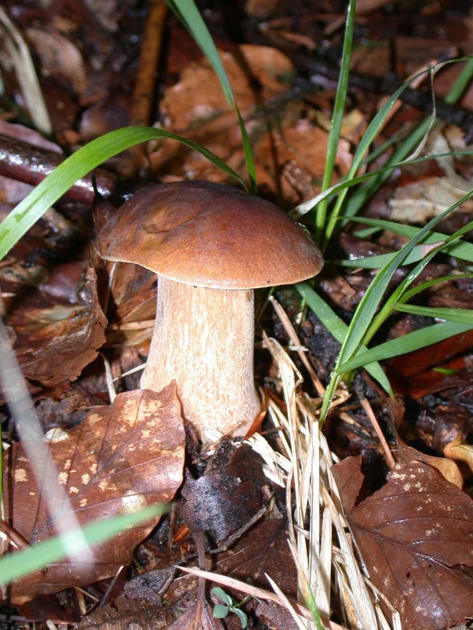 Autumn in Hotel Residence Margherita