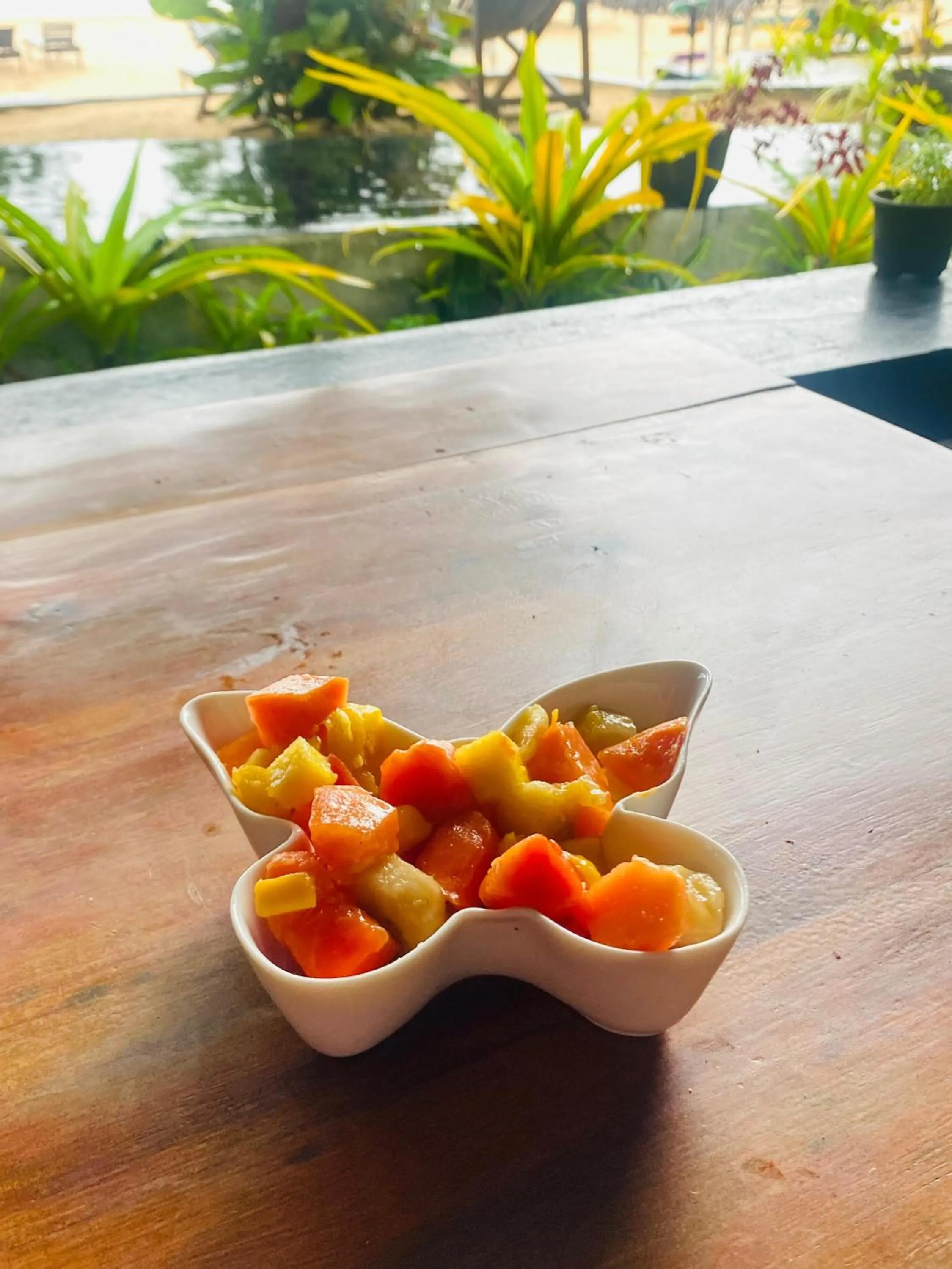Sea Shine Guest House