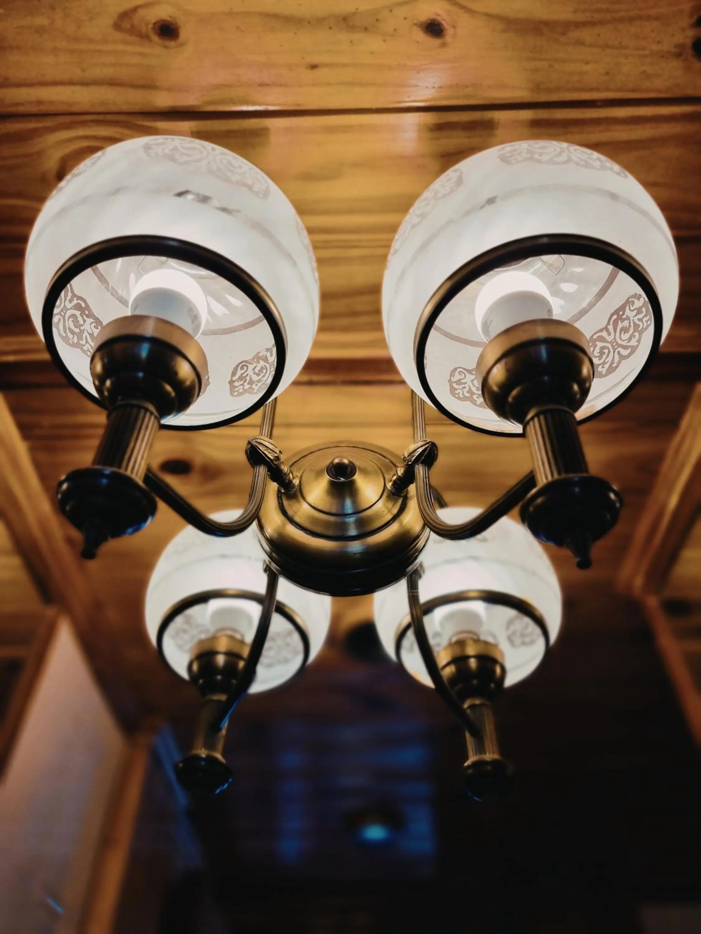 Decorative detail in FLOR AUSTRAL