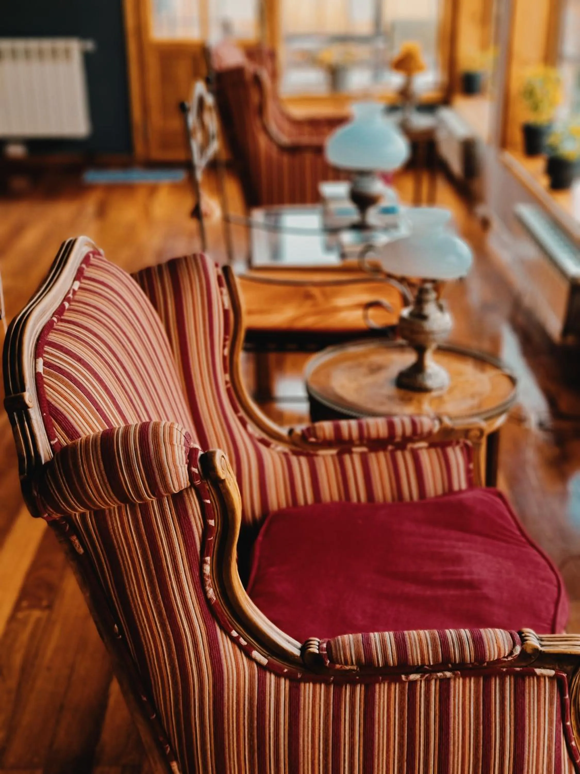 Living room in FLOR AUSTRAL