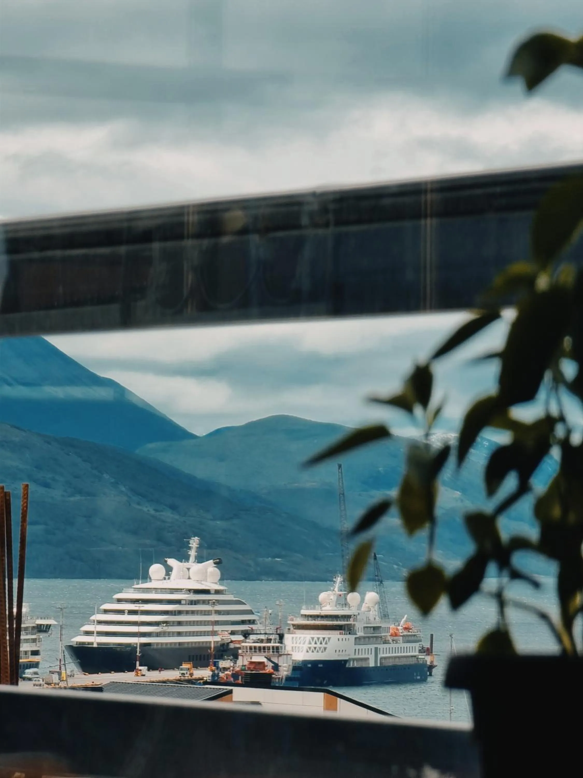 Natural landscape in FLOR AUSTRAL