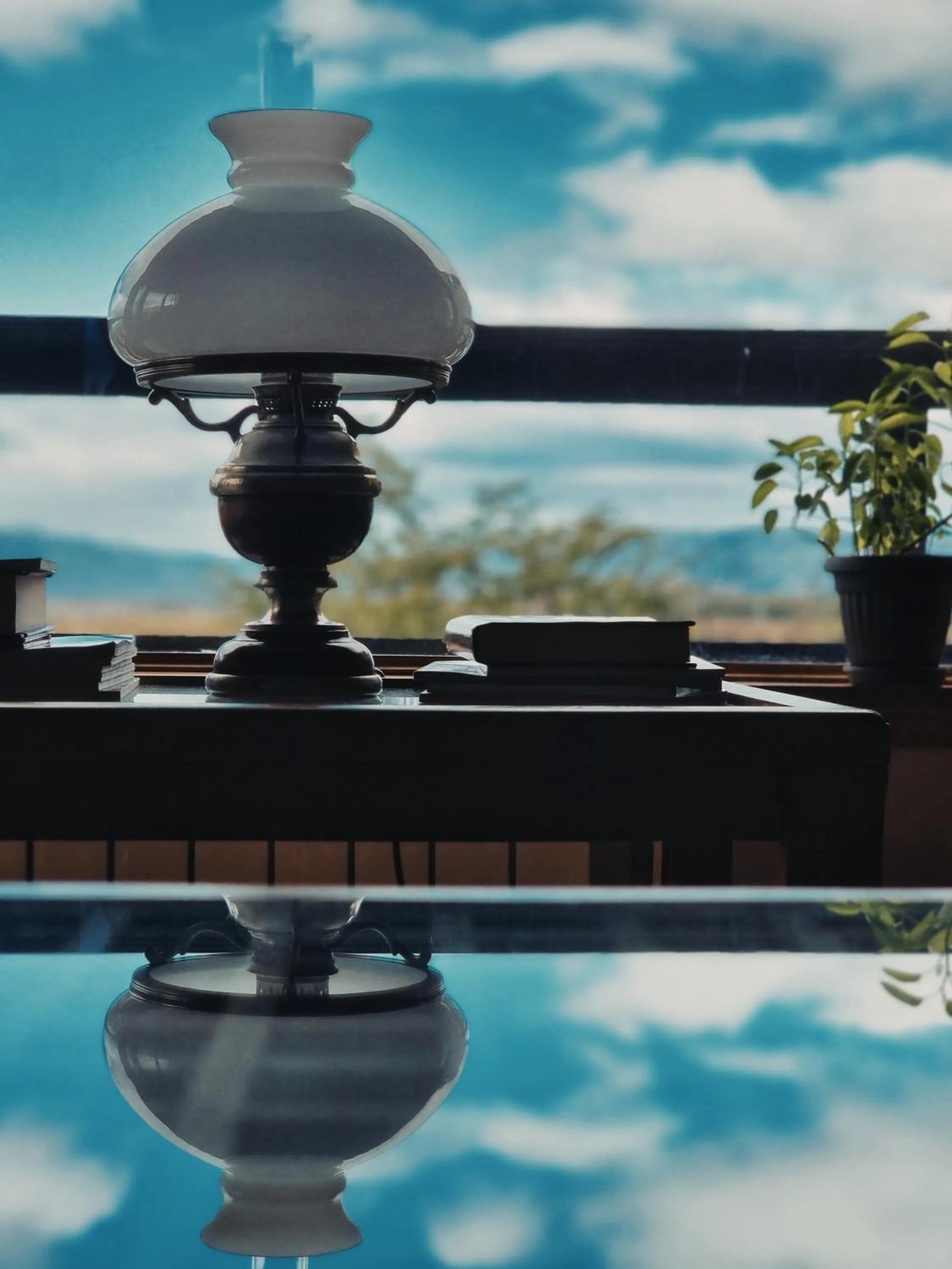 Decorative detail in FLOR AUSTRAL