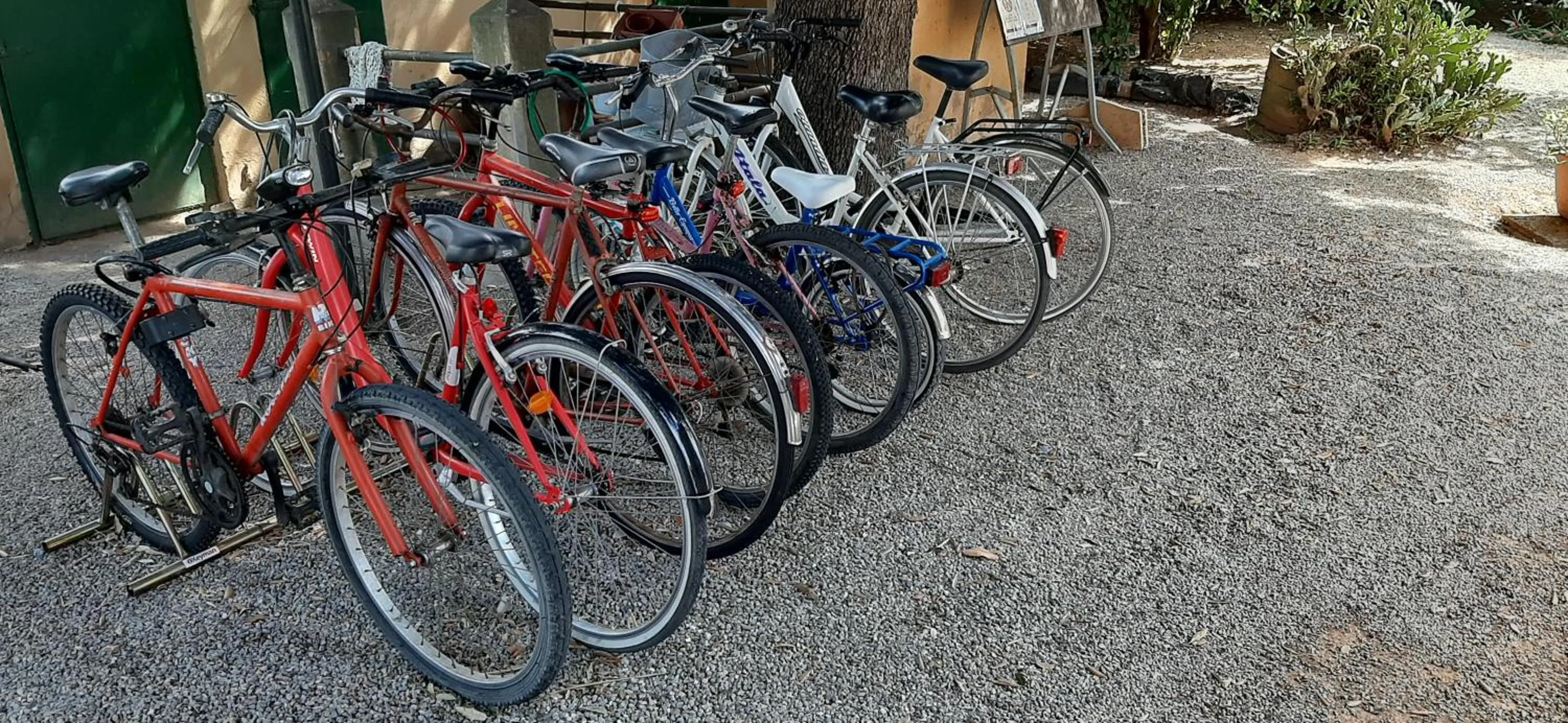 Day in Agriturismo S. Agostino