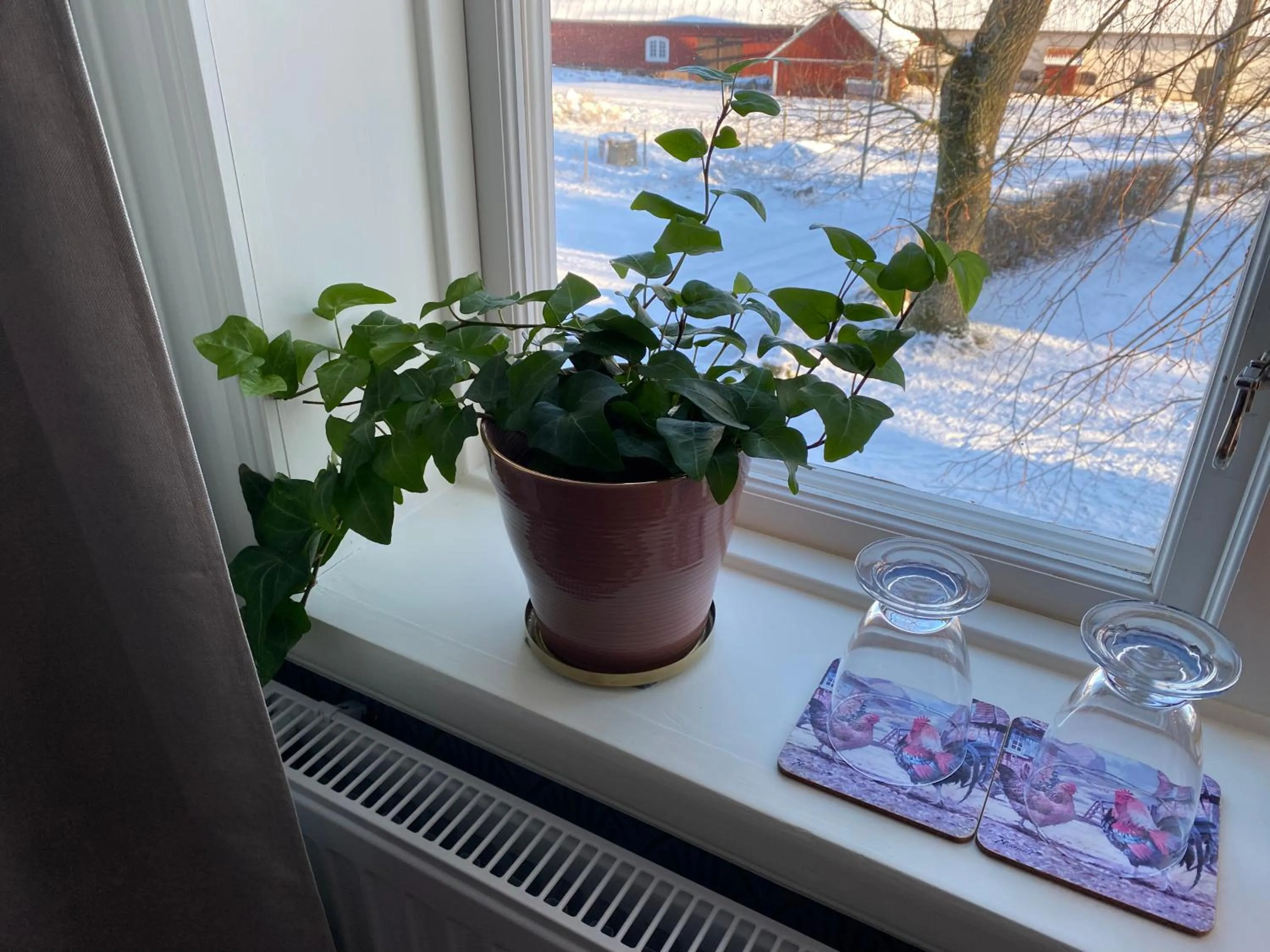 Bjälbo Gästhus B&B