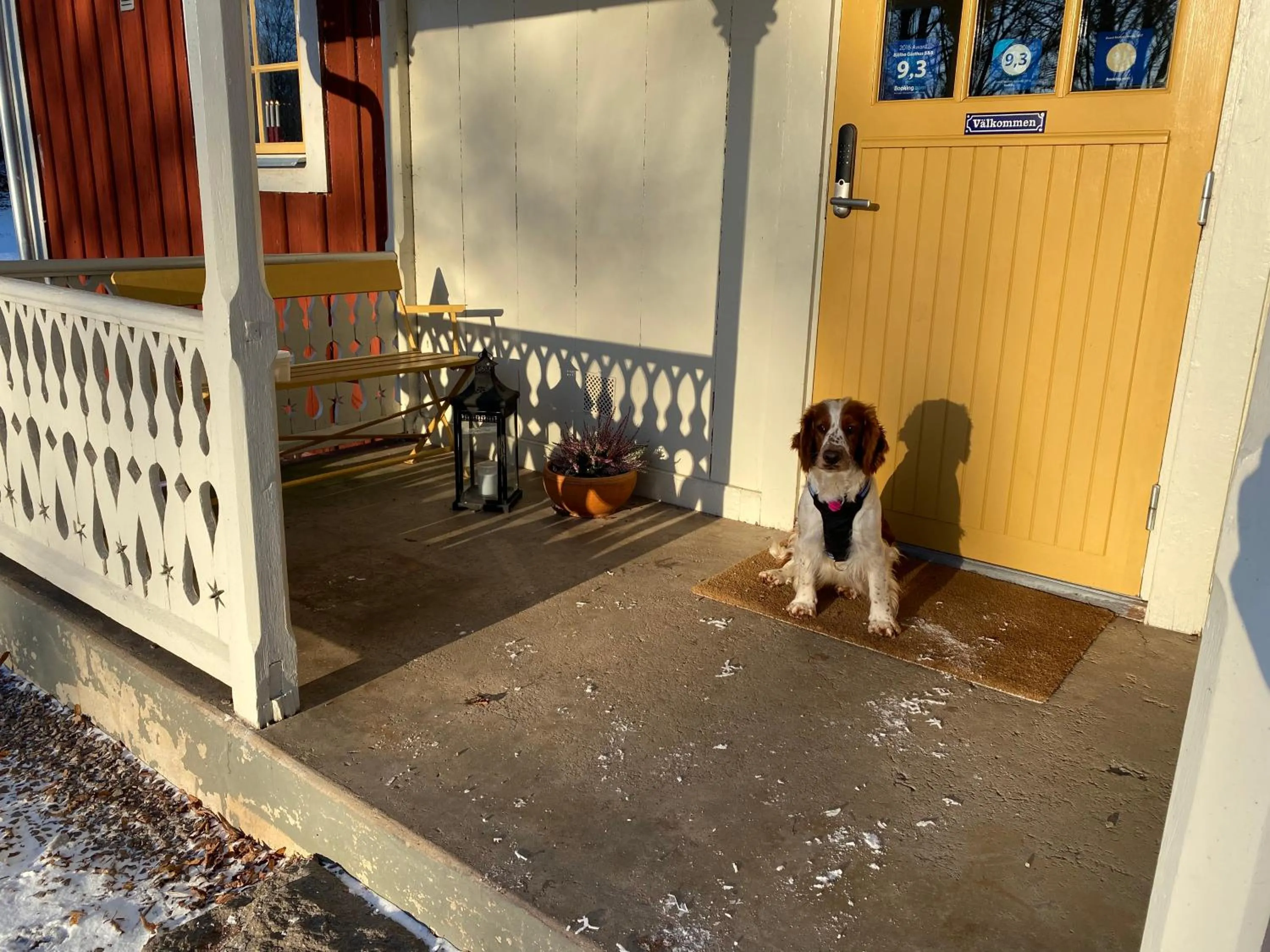 Bjälbo Gästhus B&B