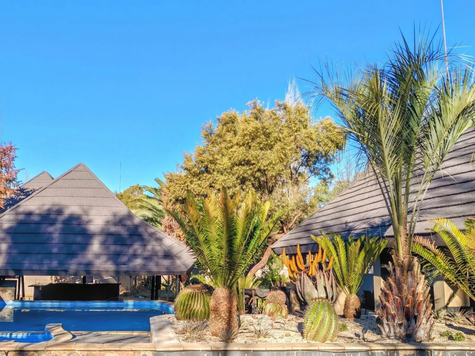 Pool view in Monte Christo Hotel