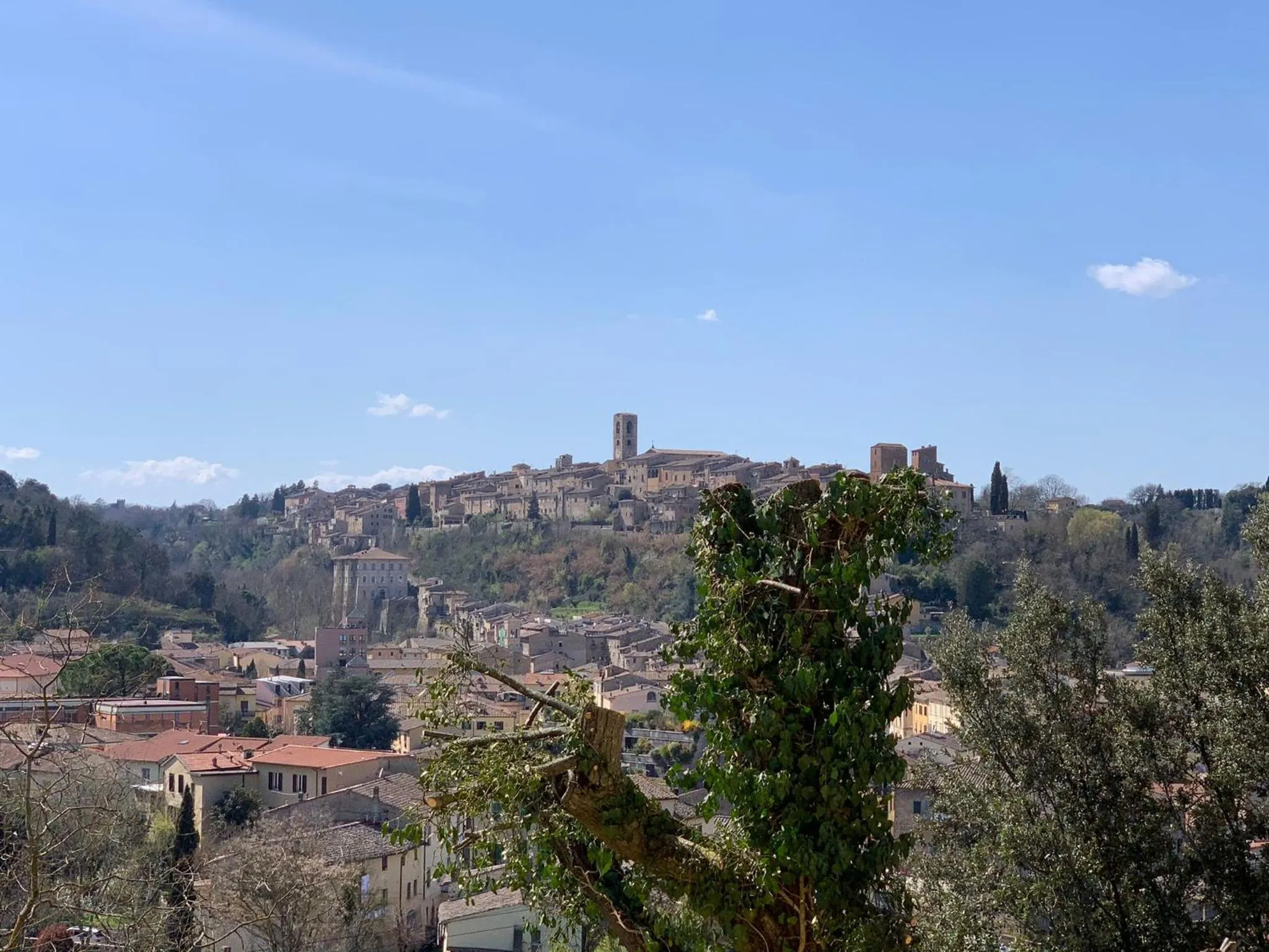 View (from property/room) in Relais Della Rovere