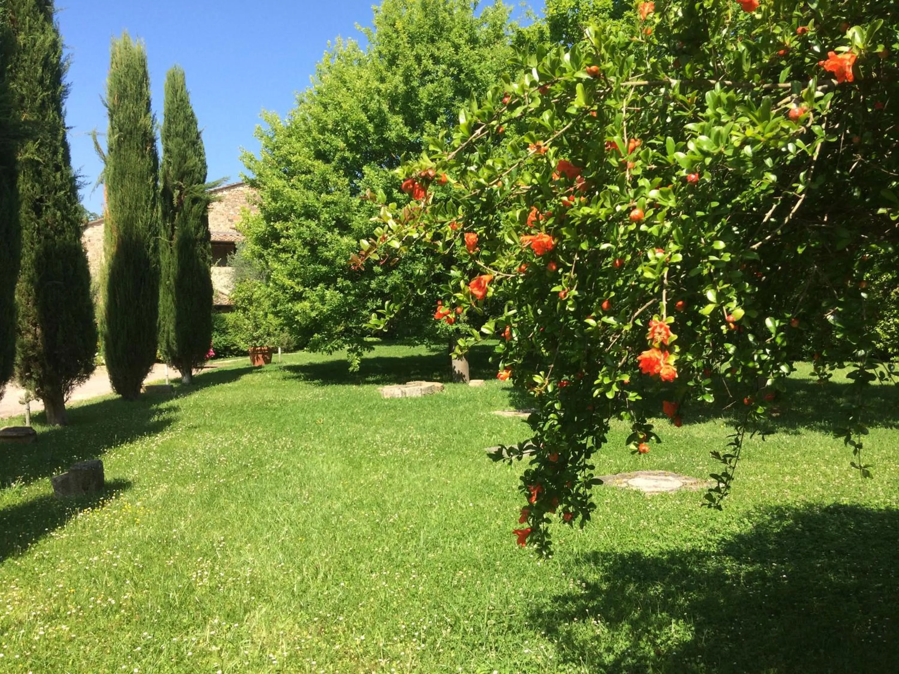 Garden in Relais Della Rovere