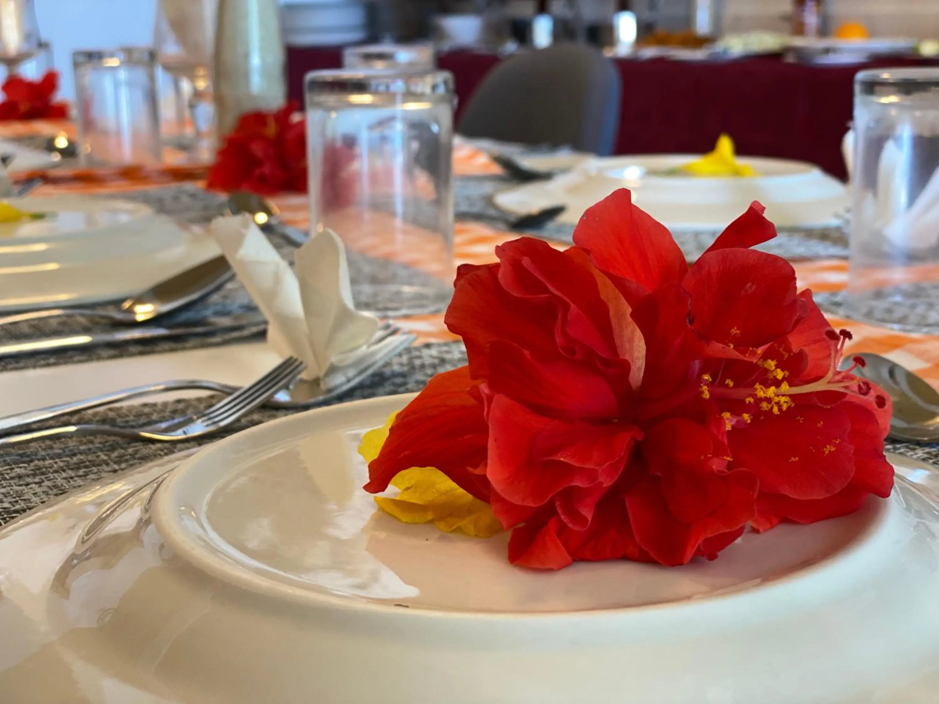 Restaurant/places to eat in VIVA Beach Maldives