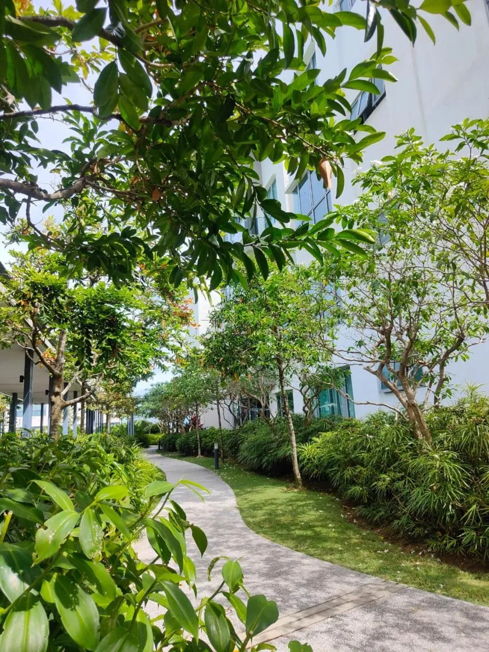 Garden in Mari Mari Homestay - IMAGO THE LOFT