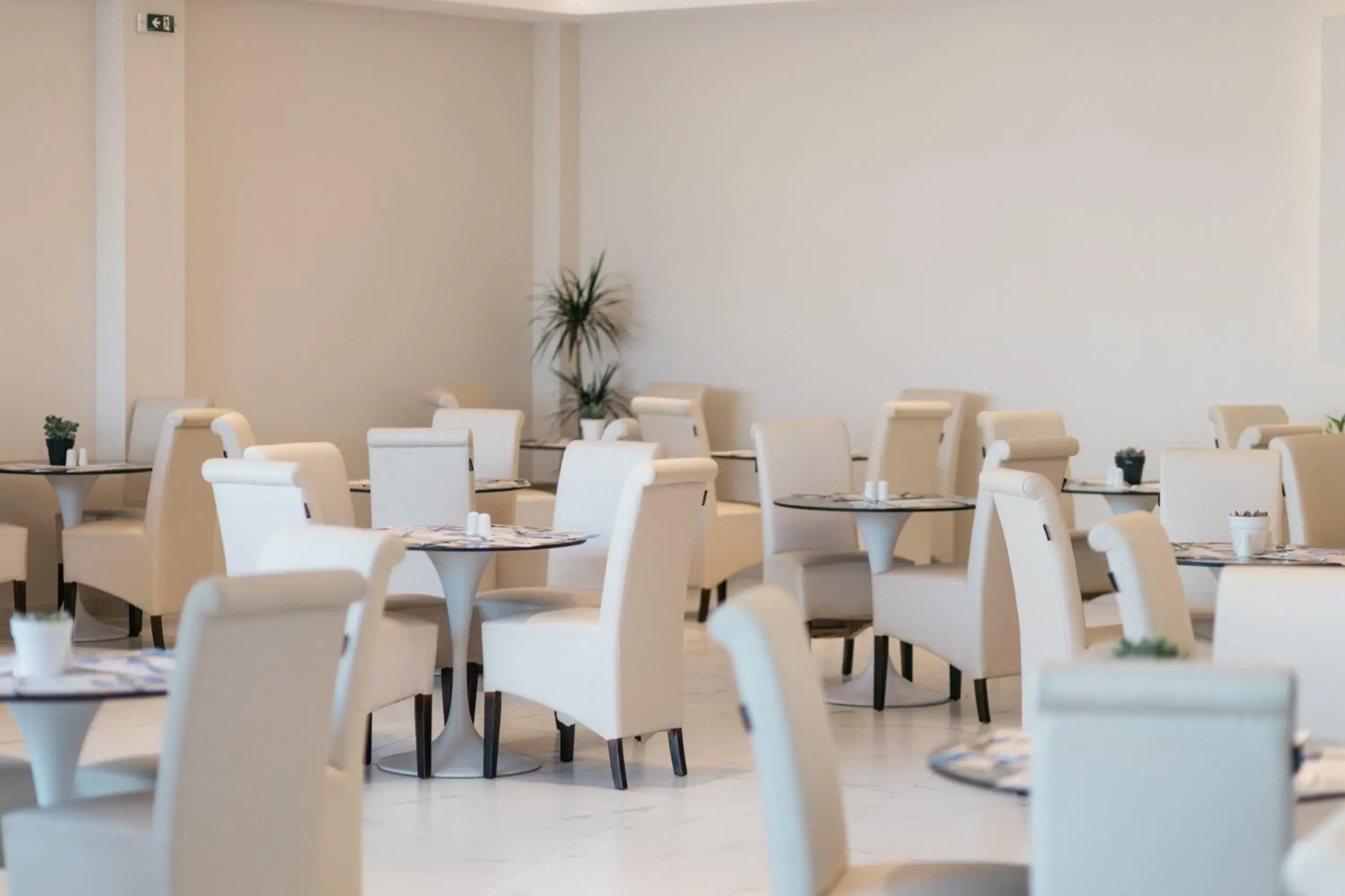 Restaurant/places to eat in Tesoro Hotel Zakynthos Restaurant/places to eat in Tesoro Hotel Zakynthos