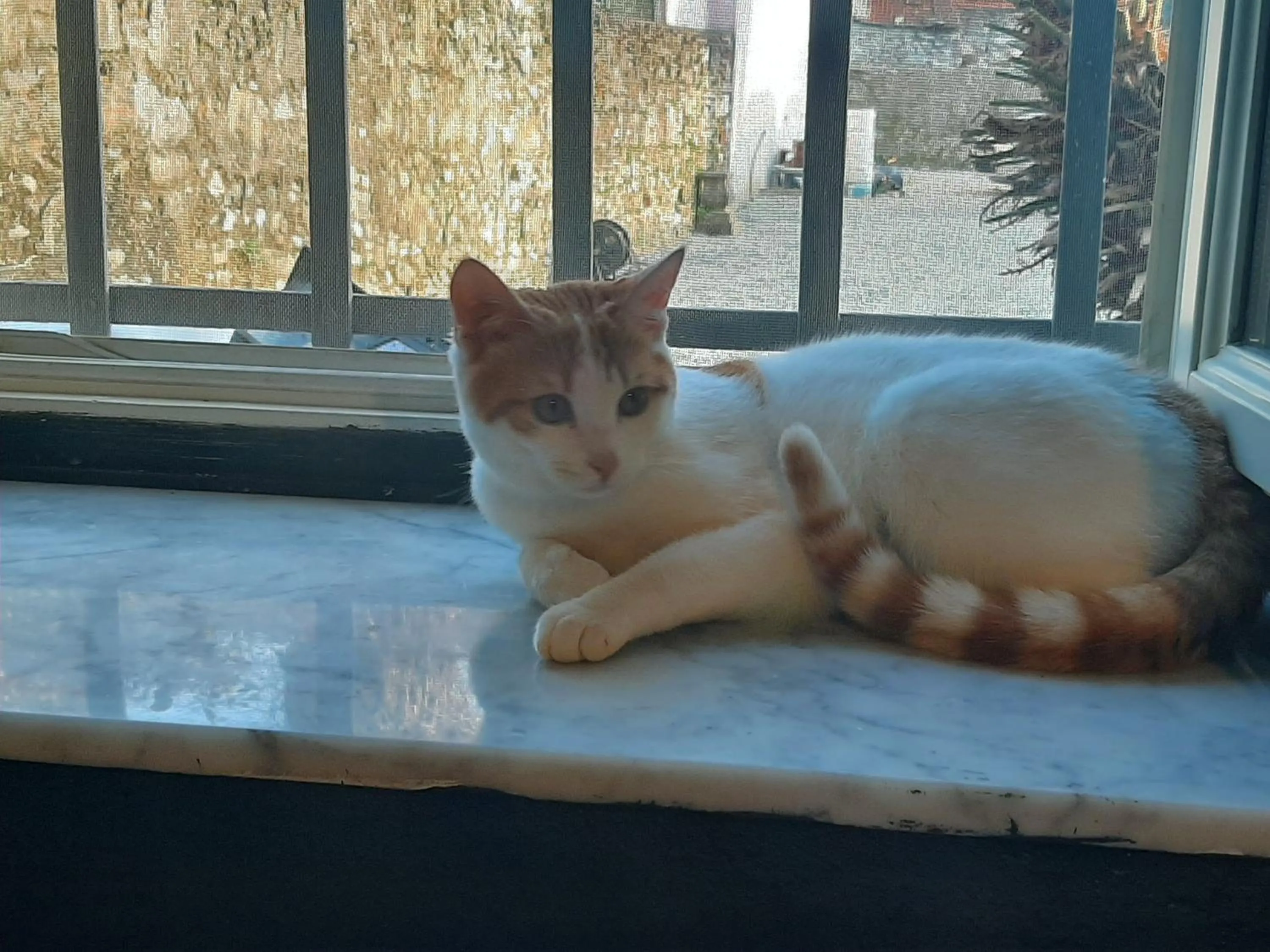 Staff in B&B Principe Calaf 3