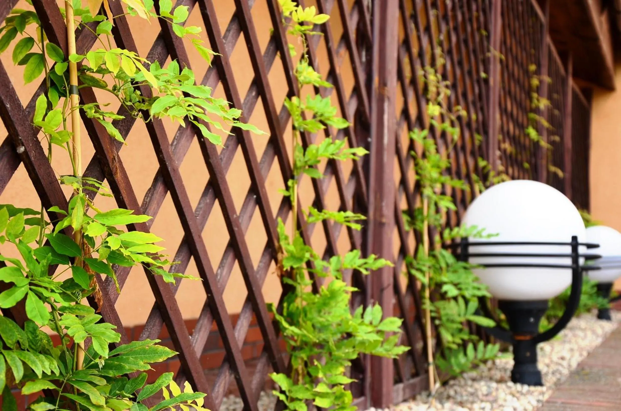 Balcony/Terrace in Hotel Sypniewo