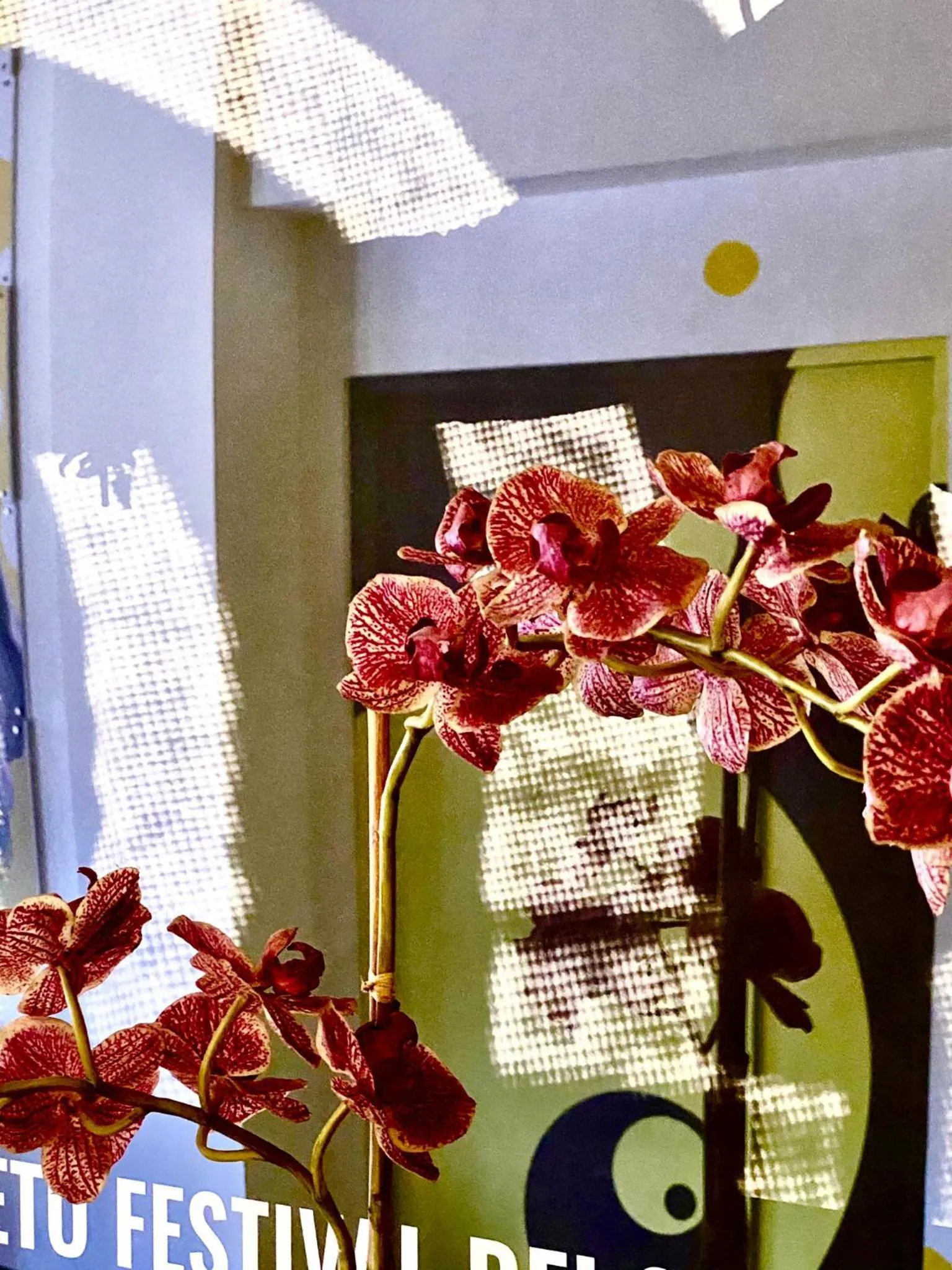 Decorative detail in LH Hotel Arca Street Art