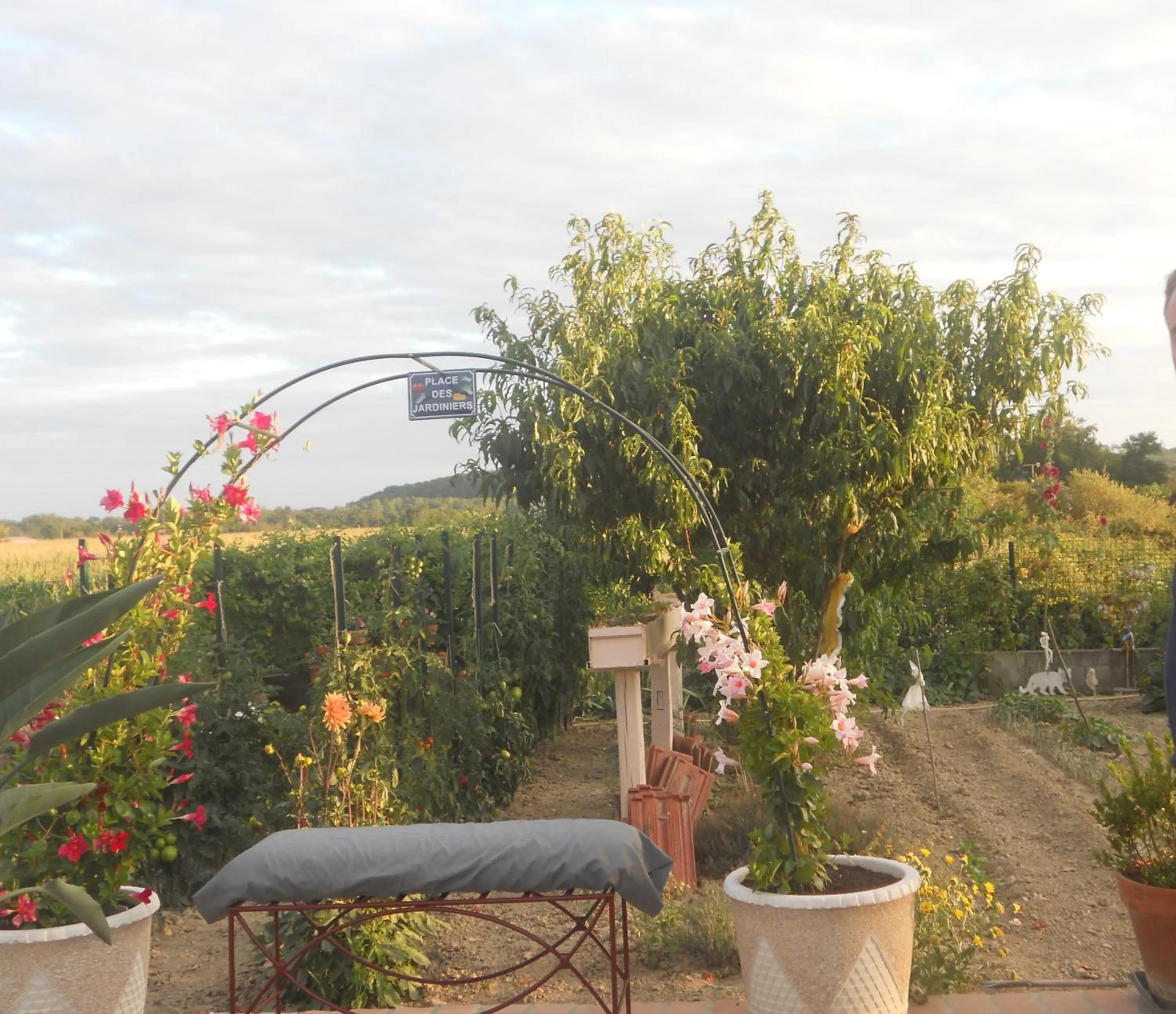 Garden in La Nouste Maisoun