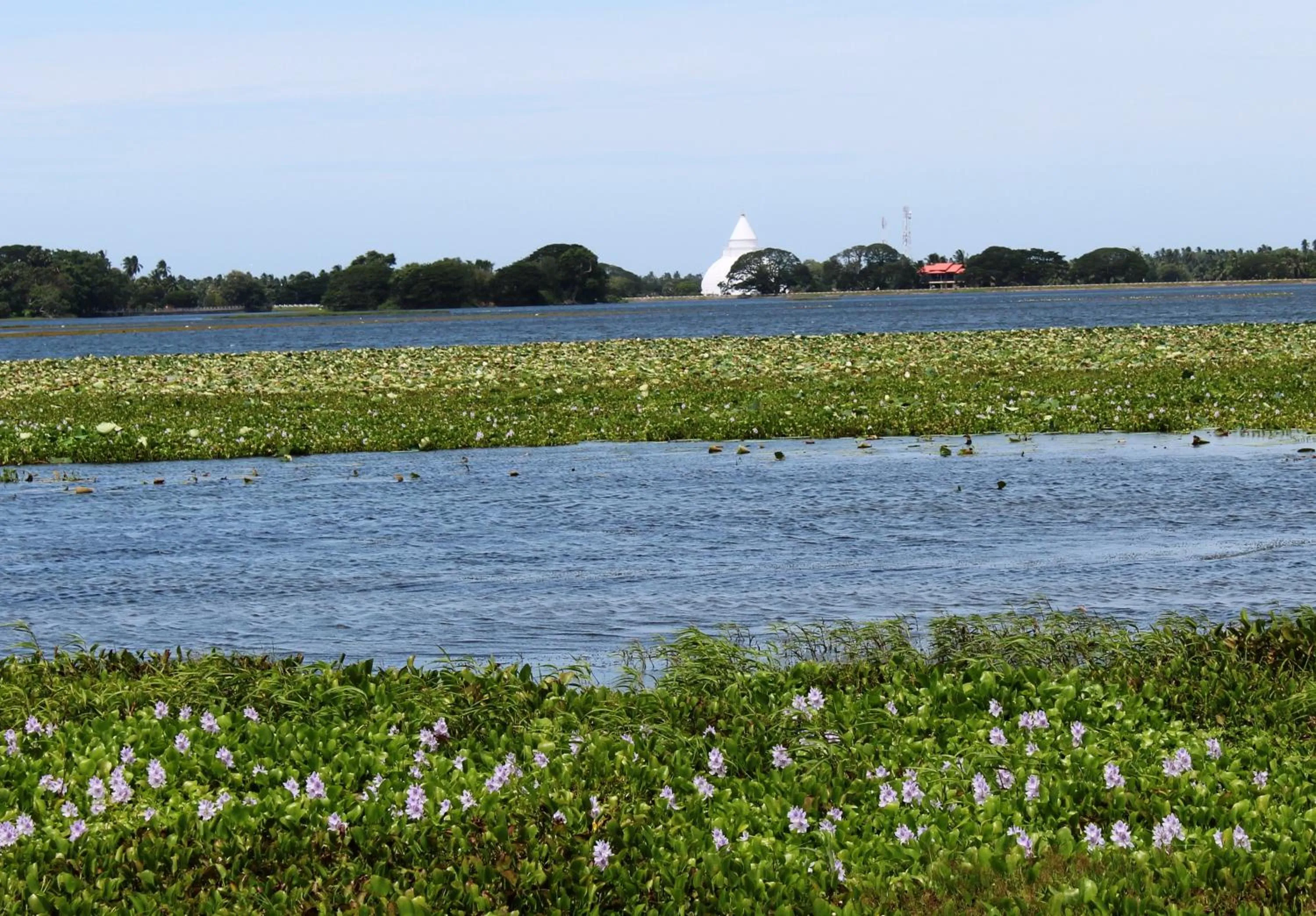 Natural landscape in Lake View Cottage