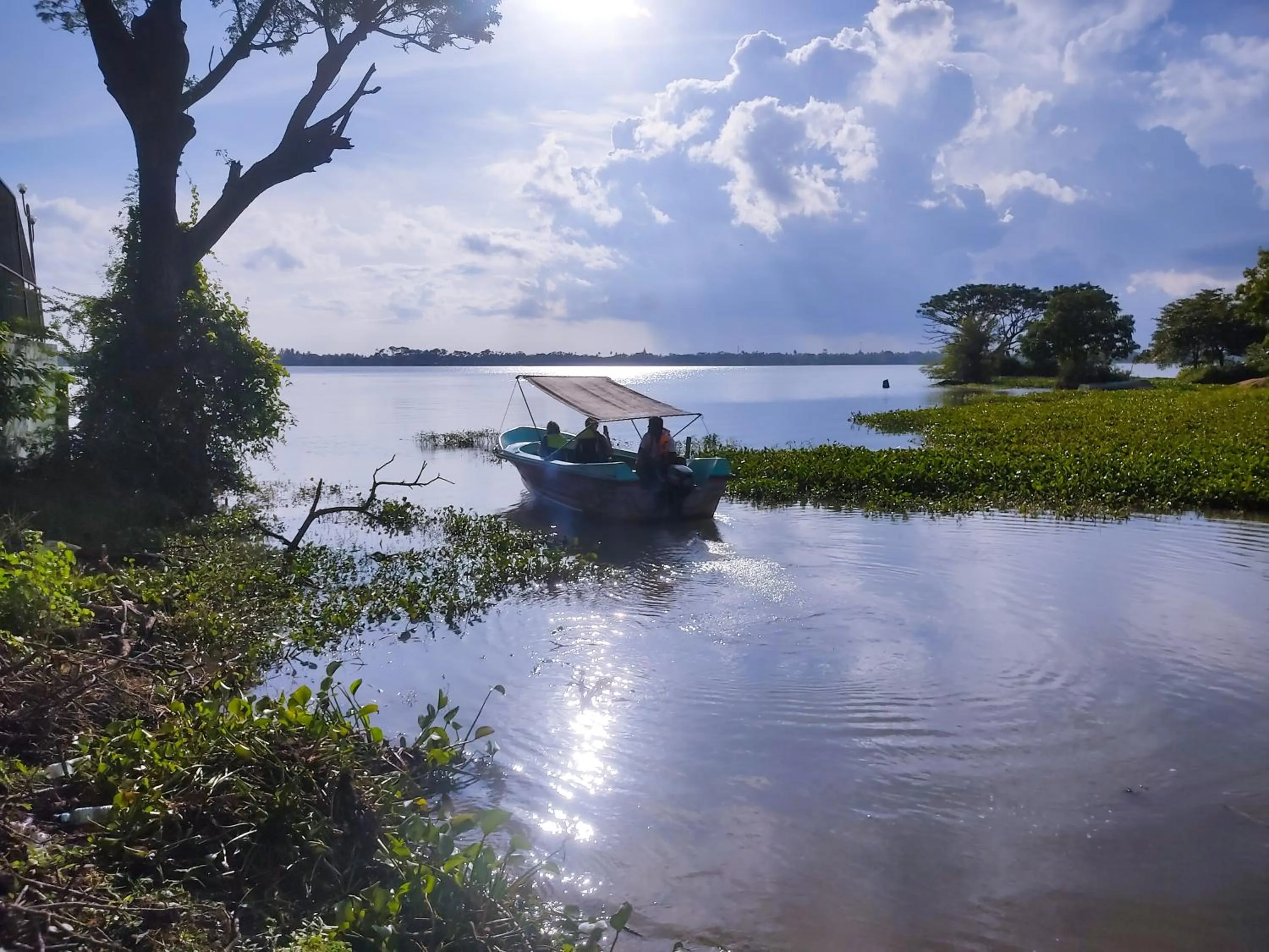 Activities in Lake View Cottage