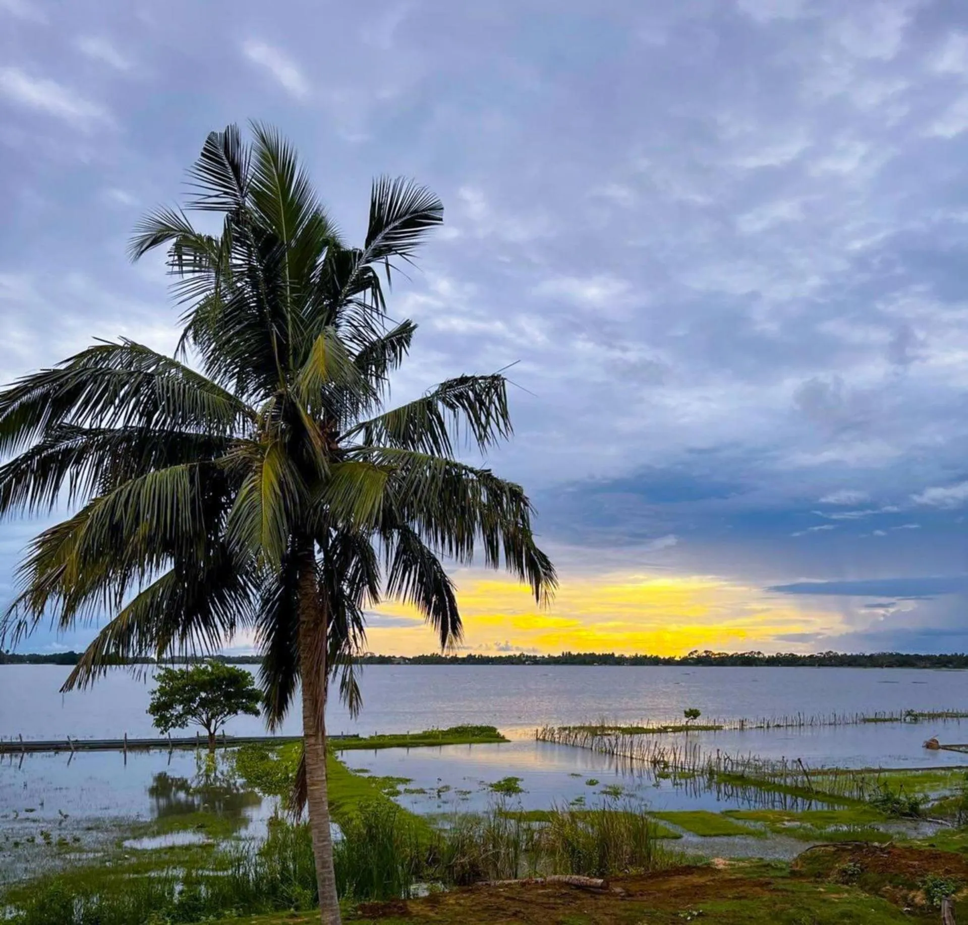 Natural landscape in Lake View Cottage