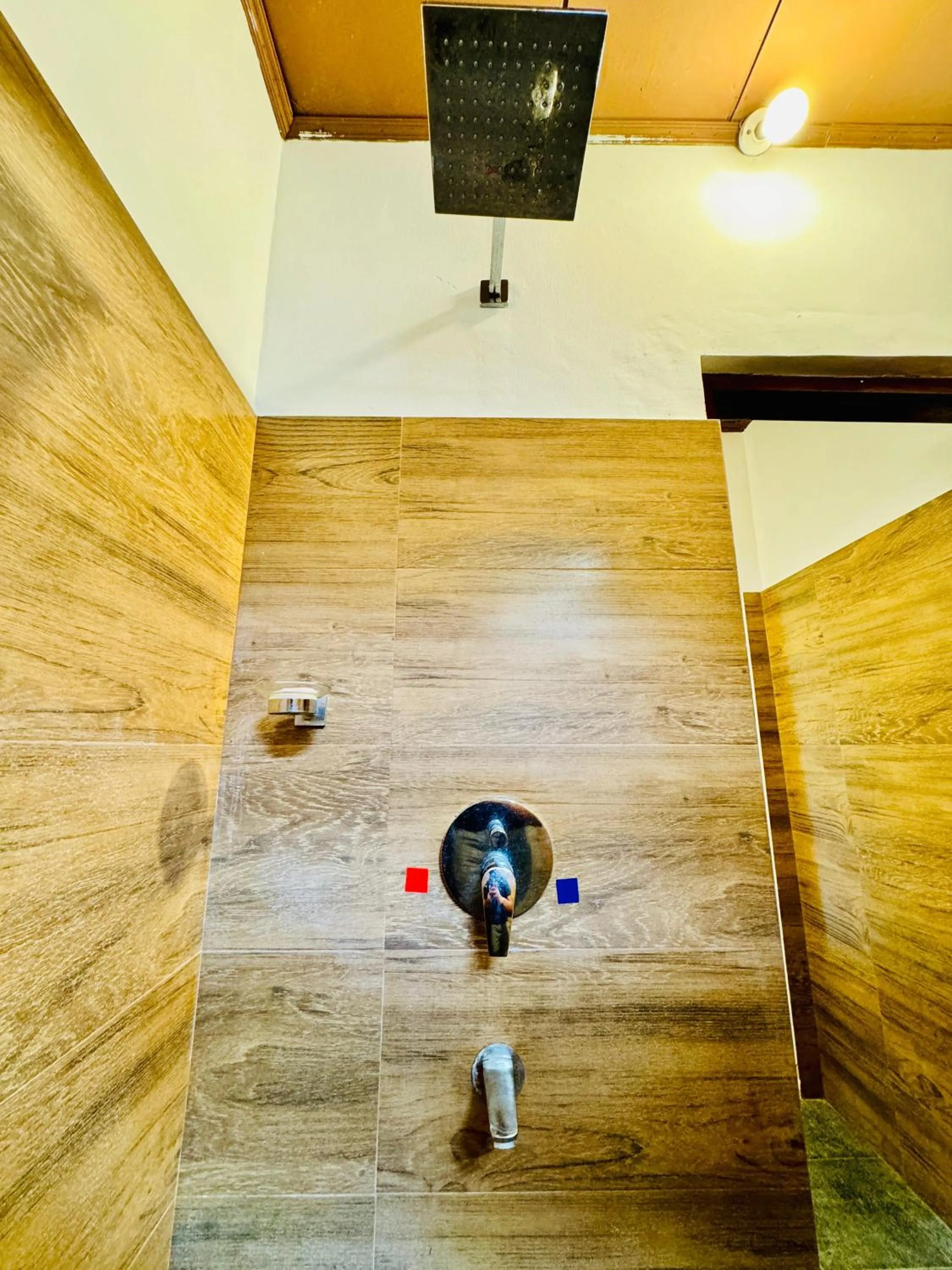 Shower in Lake View Cottage