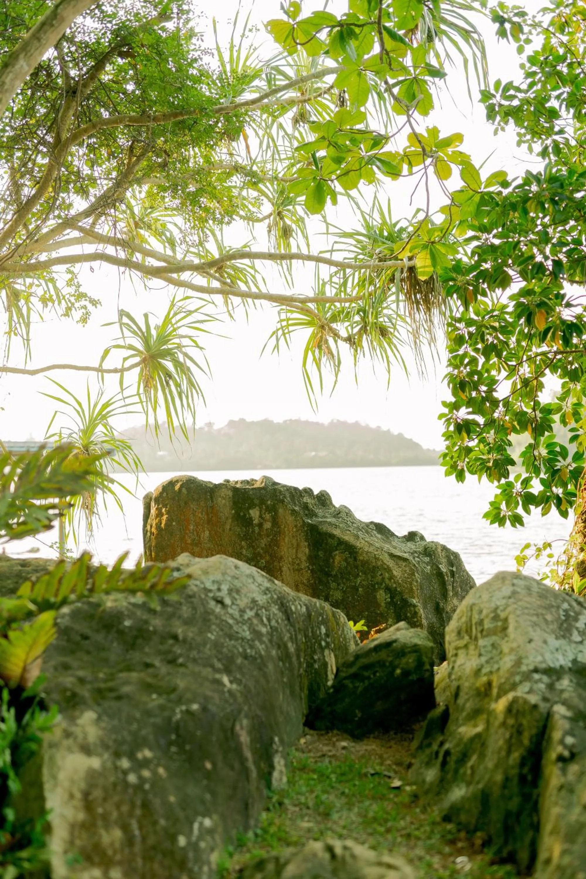 Natural landscape in Villa Birdlake