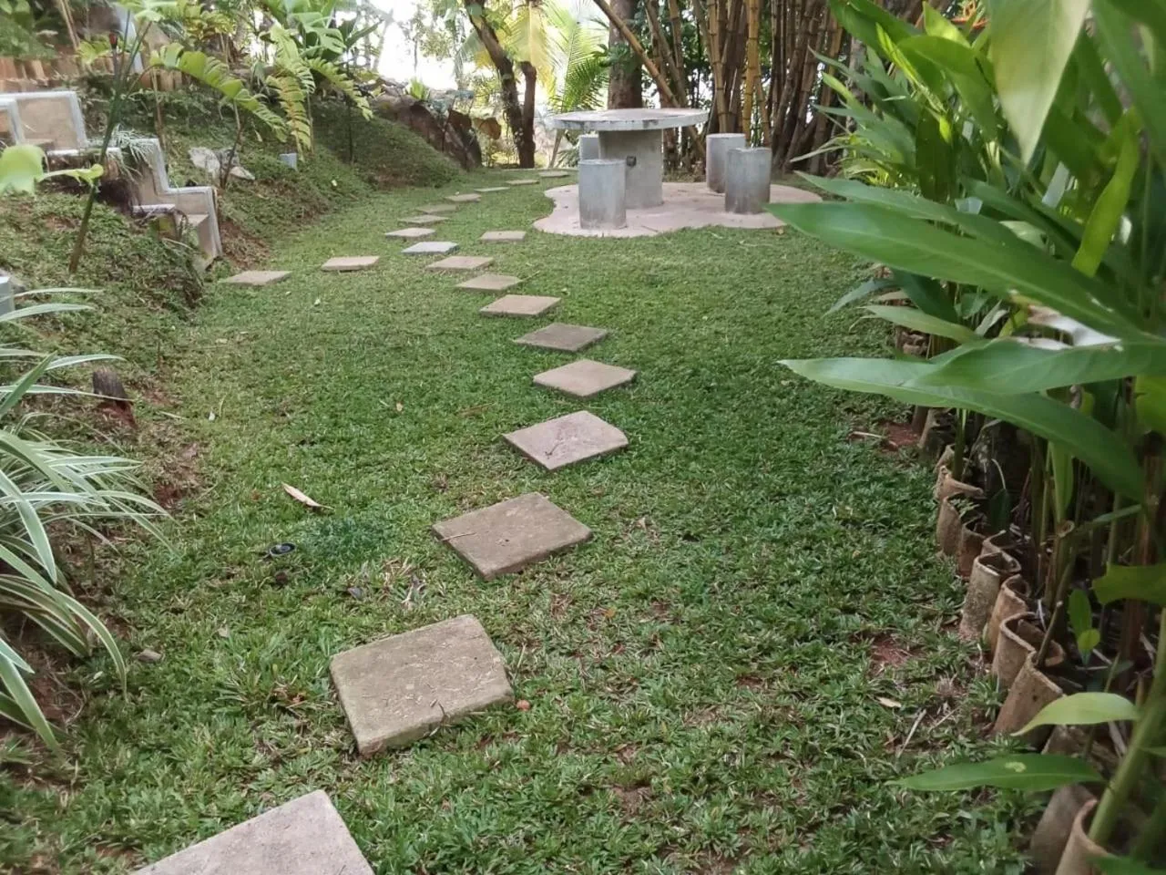 Garden in Villa Birdlake