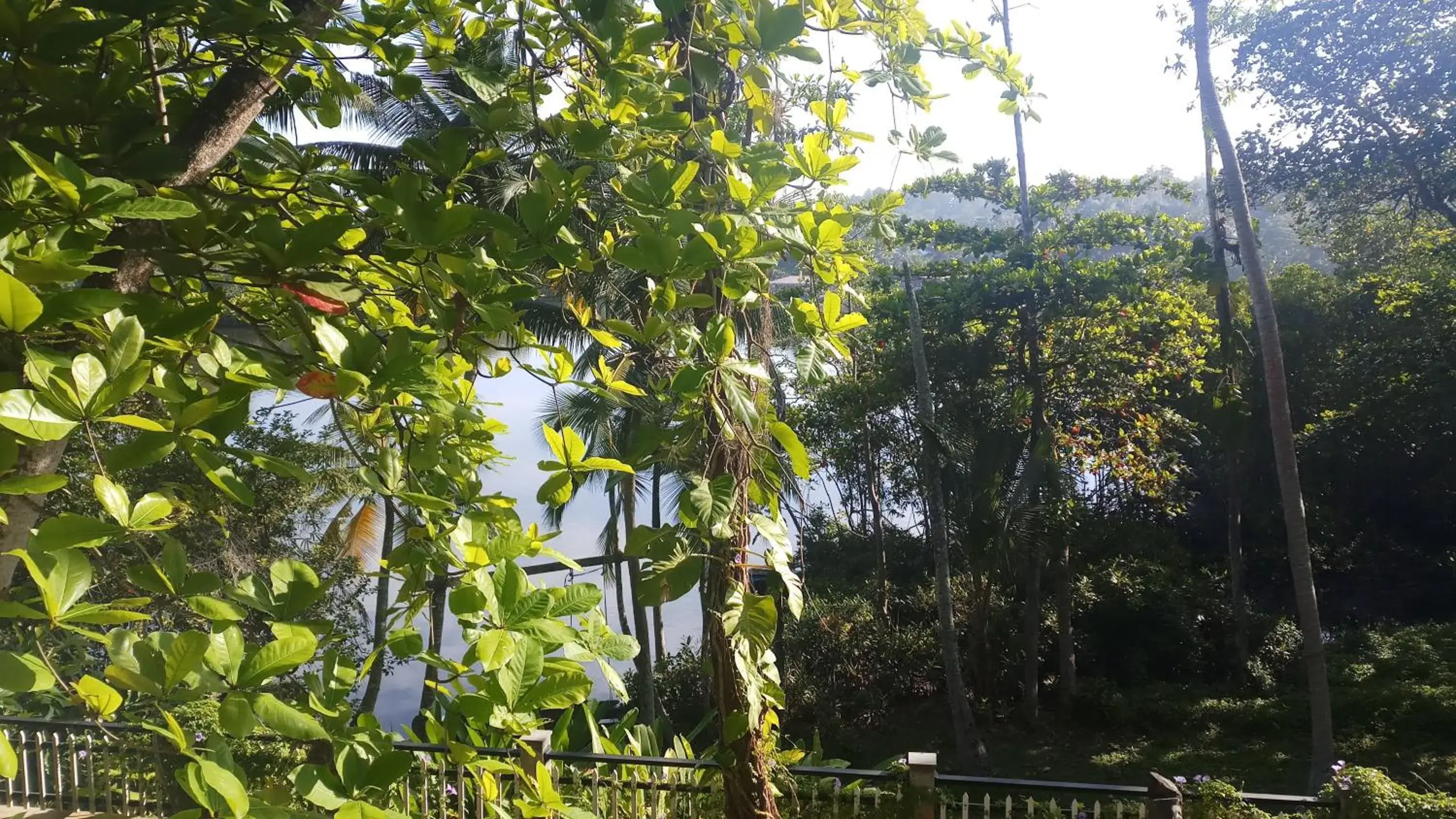 Deluxe Double Room with Balcony - single occupancy in Villa Birdlake Deluxe Double Room with Balcony - single occupancy in Villa Birdlake