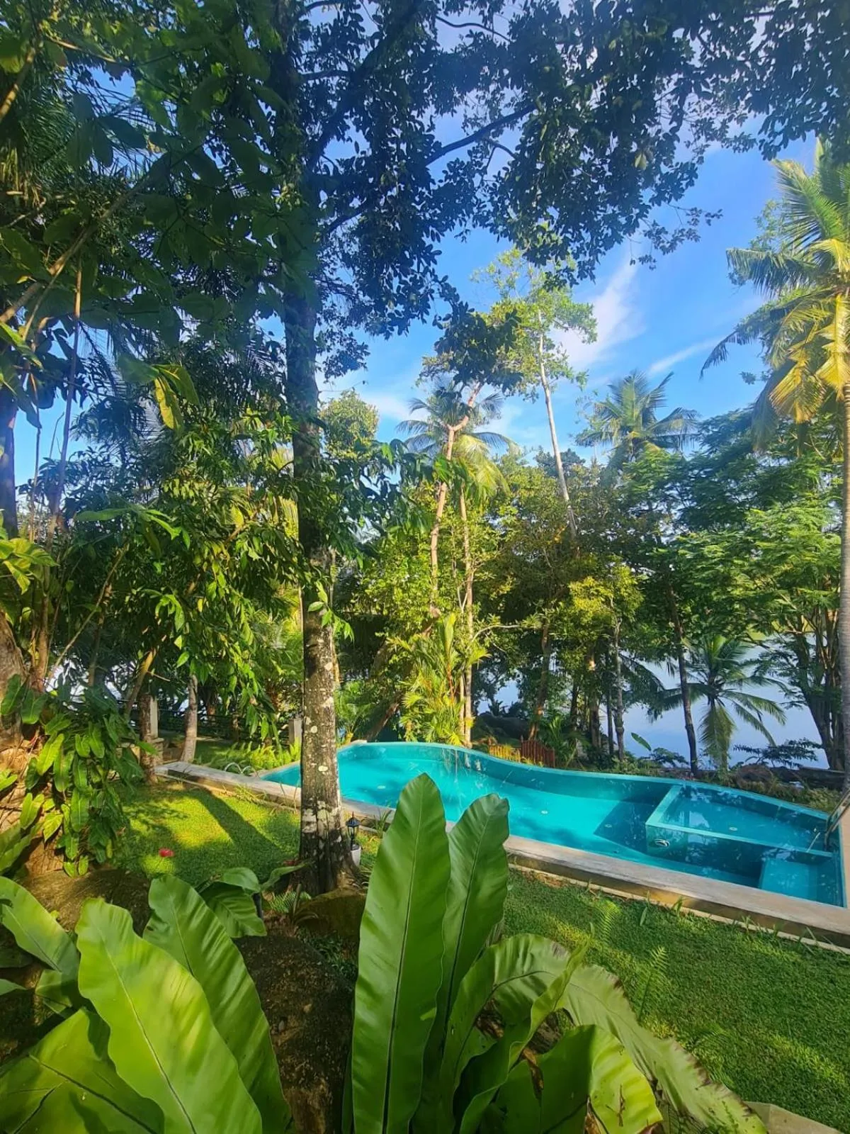 Swimming pool in Villa Birdlake